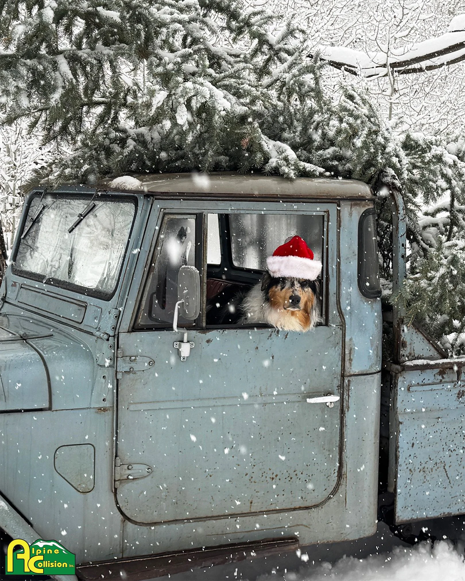 From our Alpine Collision family to yours &mdash; wishing you safe travels, warm moments, and a Merry Christmas! We are closed on the 25th, but we are back to help you on the 26th.