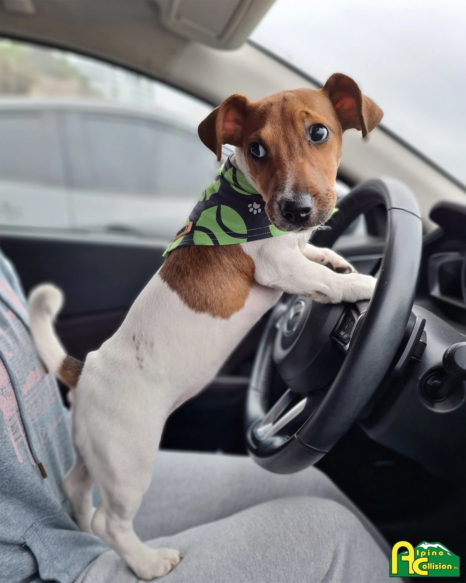 In honor of Distracted Driving Awareness Month, this is a quick reminder that it only takes a second of distraction to cause an accident. Stay alert. Stay focused. Stay safe.

If you are involved in an accident, we are here to restore things to the w