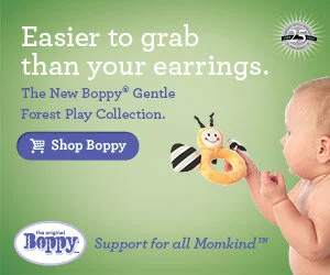 Boppy_Easier_to_Grab_300x250_rev.jpeg