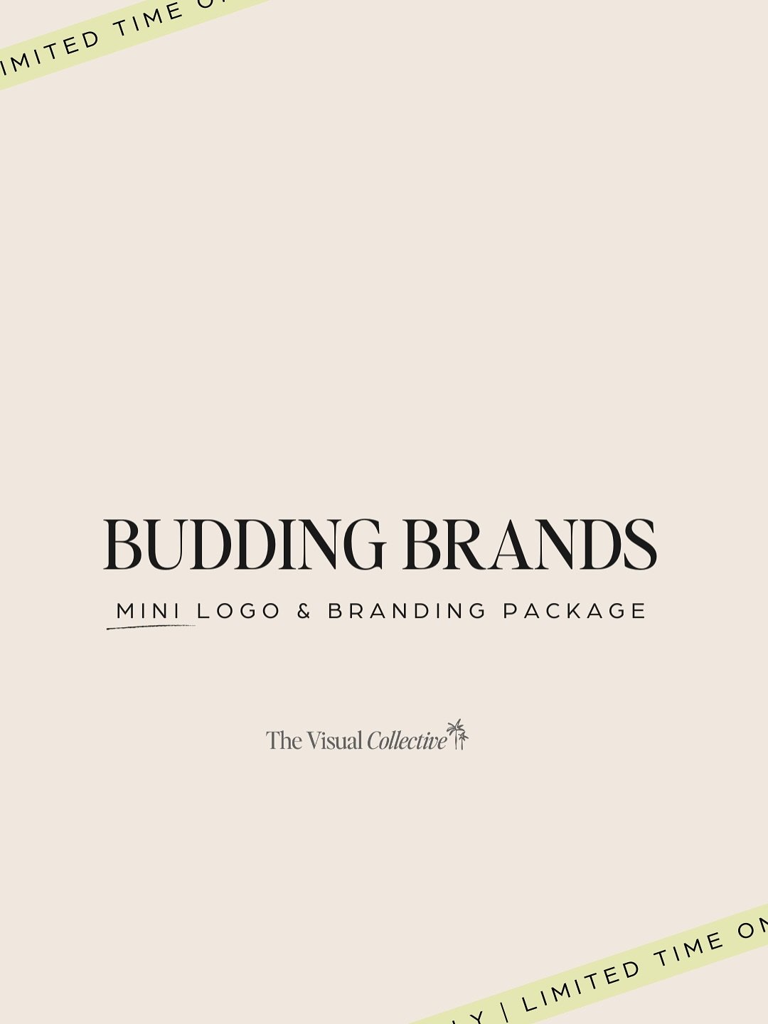 The Budding Brands Mini Logo and Branding Package is the perfect solution for small businesses ready to make a big impact ⭐️

This package is designed to give your brand a solid foundation, setting you on the path to success.

With our &ldquo;Budding