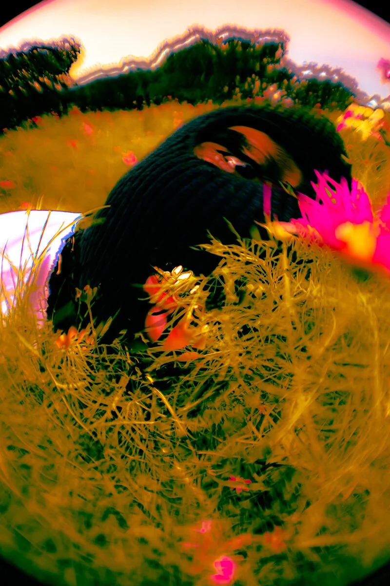 08.jpg