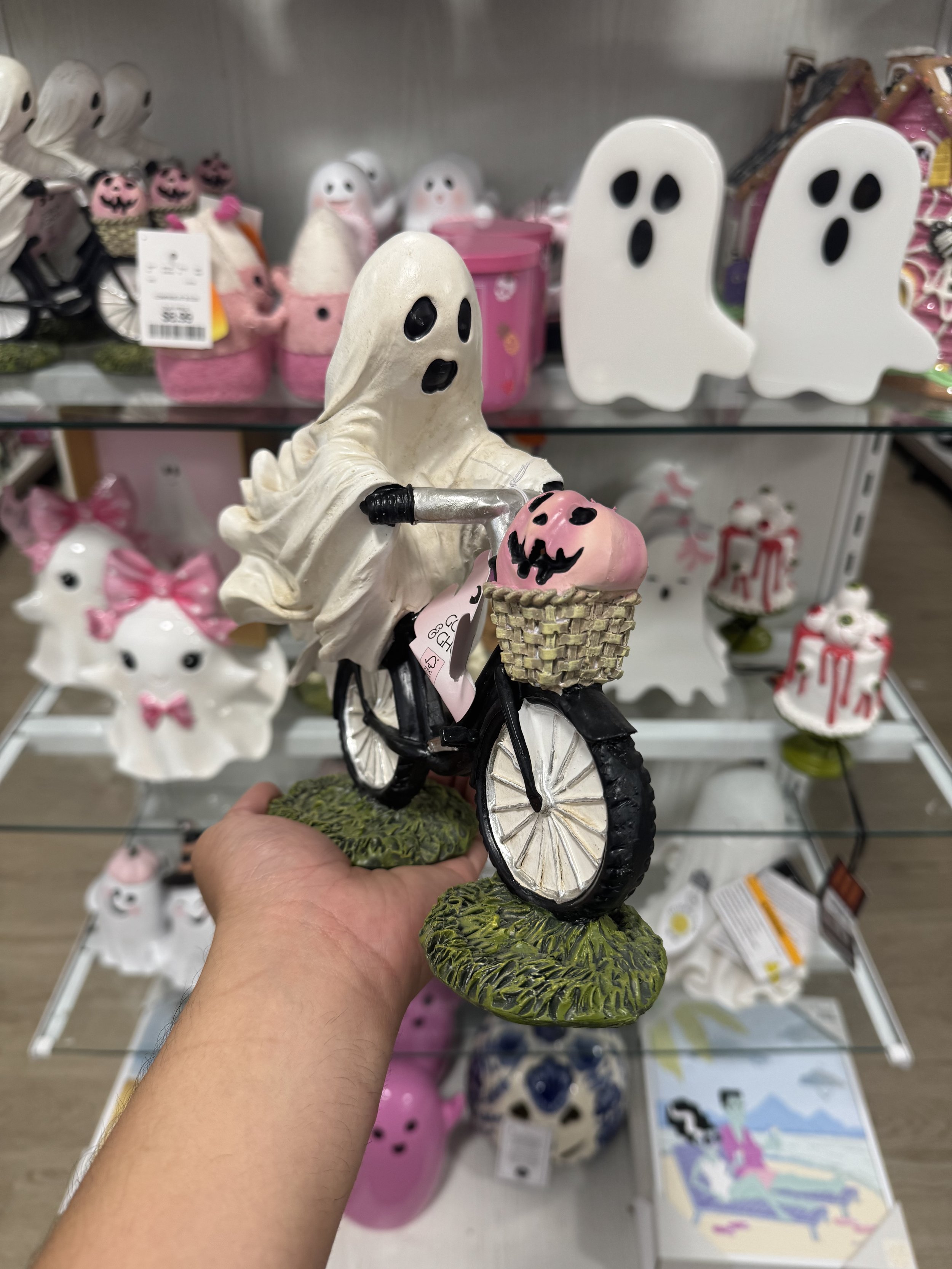IMG_3801.jpeg