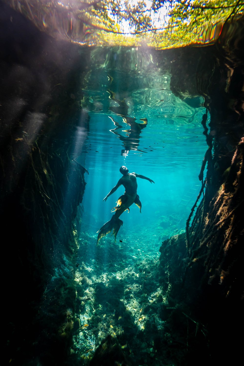 cenote-portraits-cristalino3.jpg