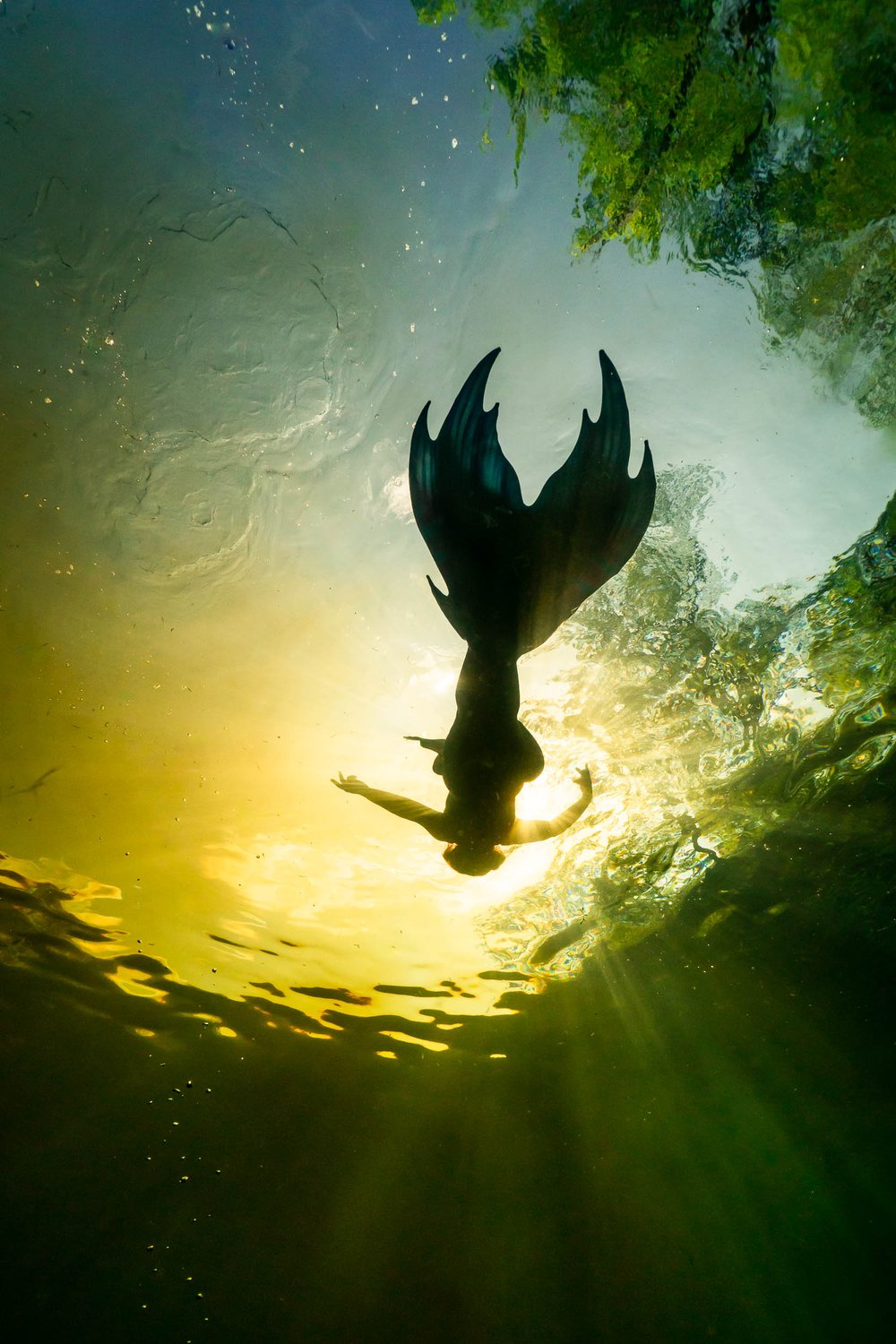 Underwater silhouette of mermaid Eryn