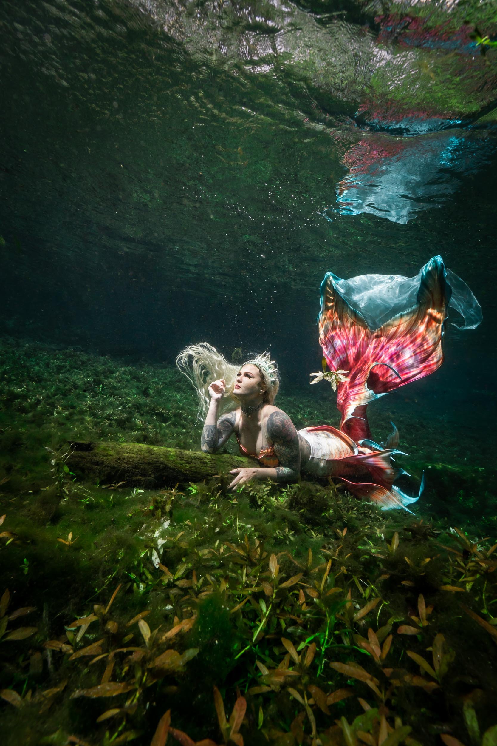 Mermaid Luna posing underwater