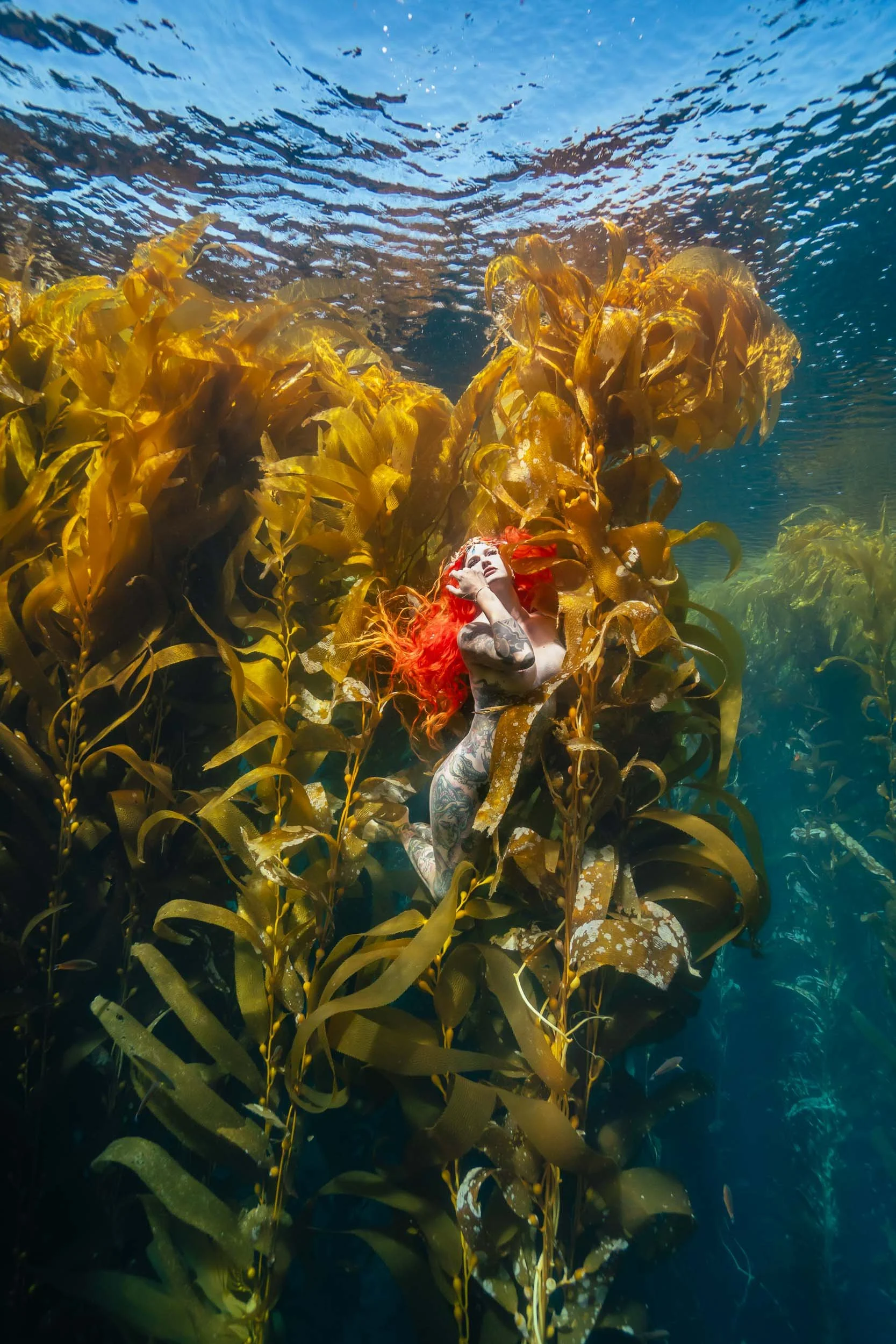 Kelp-Sirens-5.jpg