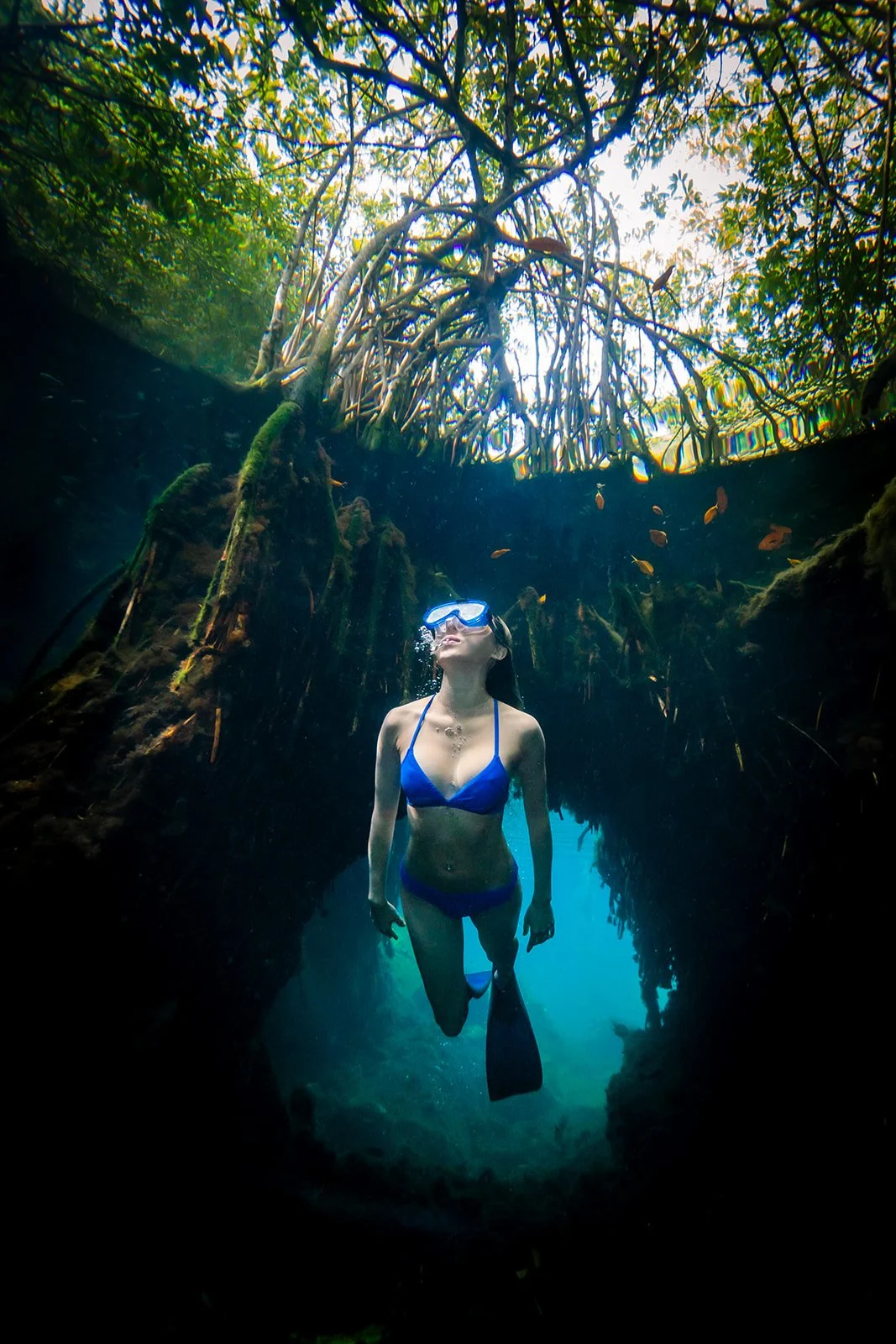 A woman swimming in a cenote in Riviera Maya