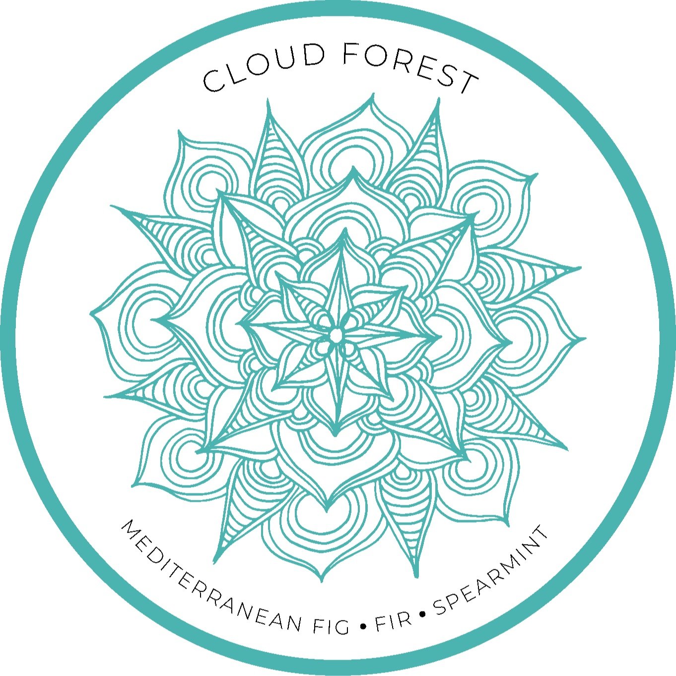 Cloud Forest