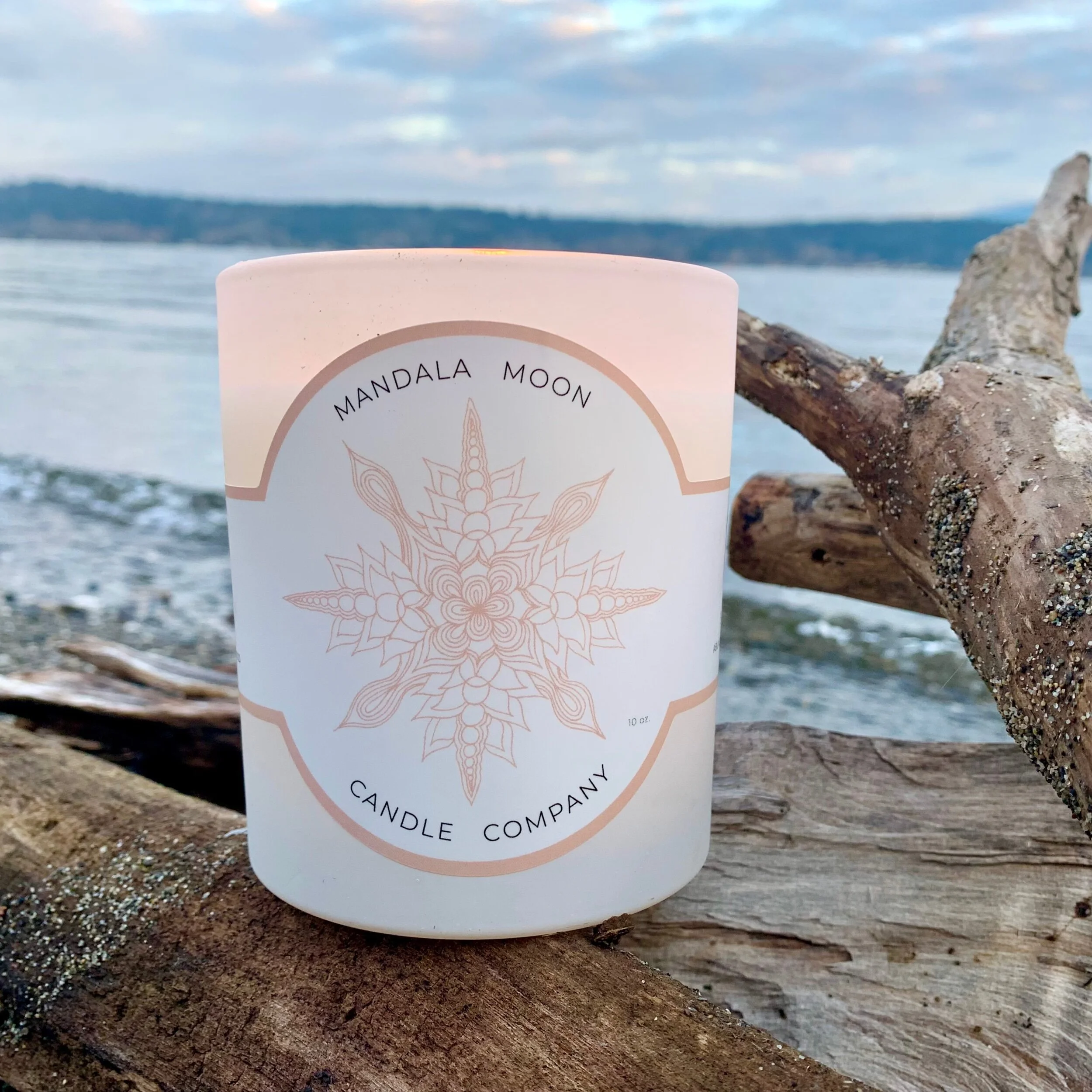 DFB19DD1-0D12-4771-8909-08CA11B7B5D0