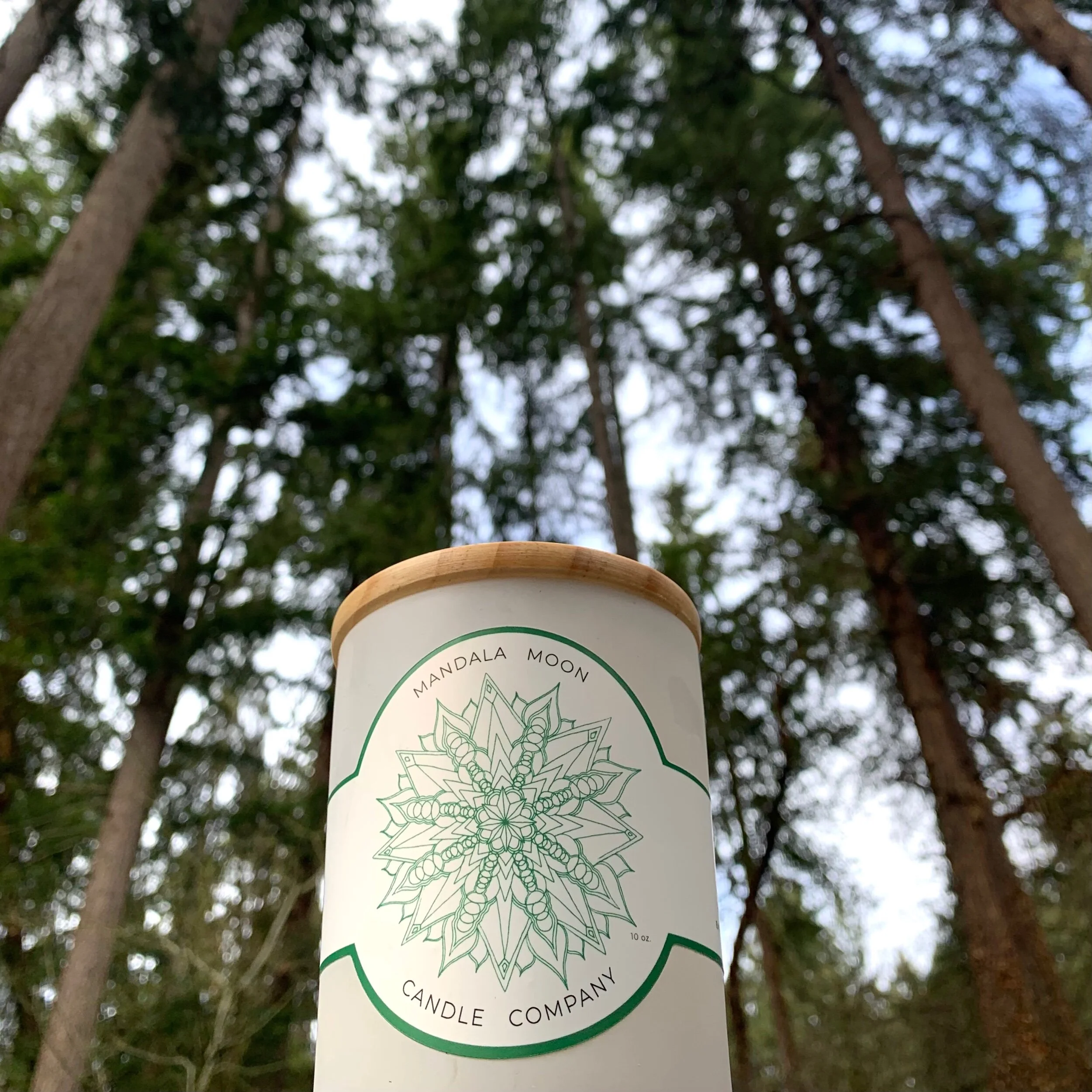 0A46E8EF-AFD3-4ED0-B2FA-8096ABFF630B