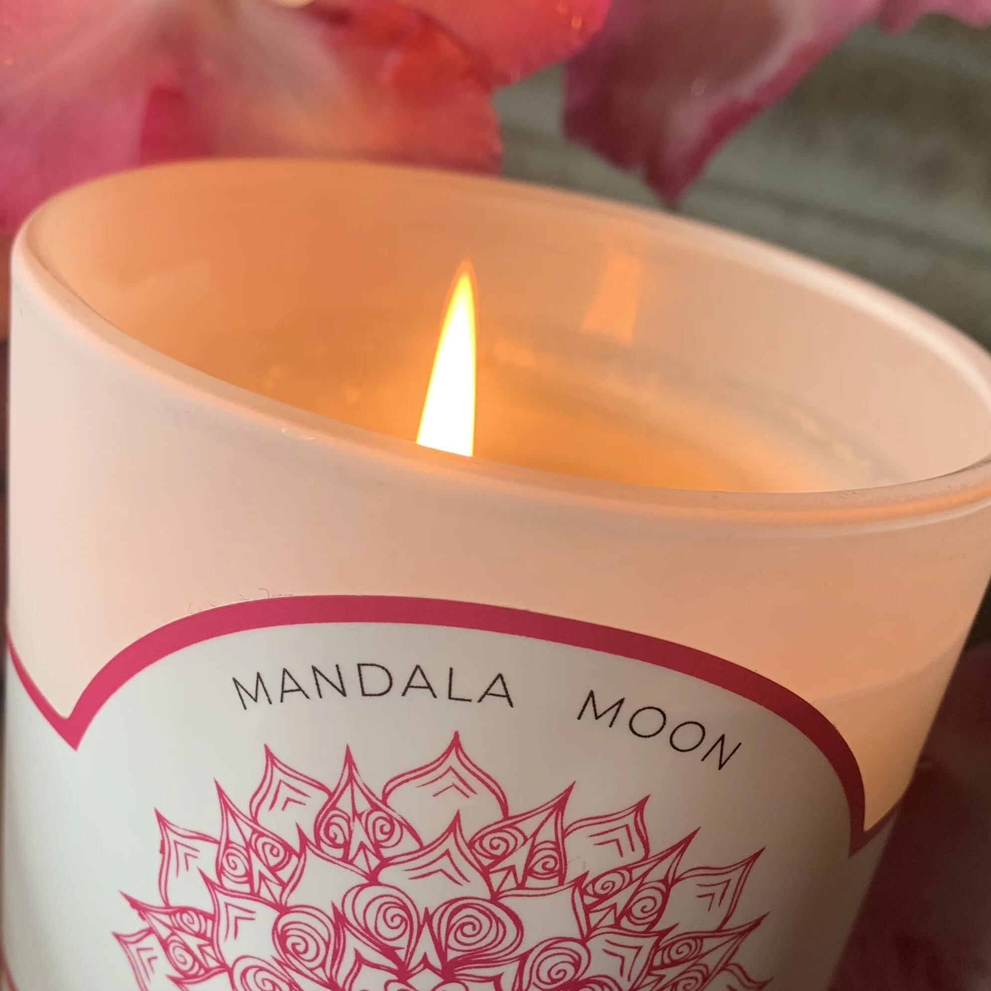 8A4812B1-7DF8-4B52-BB56-88BC3A0A307C