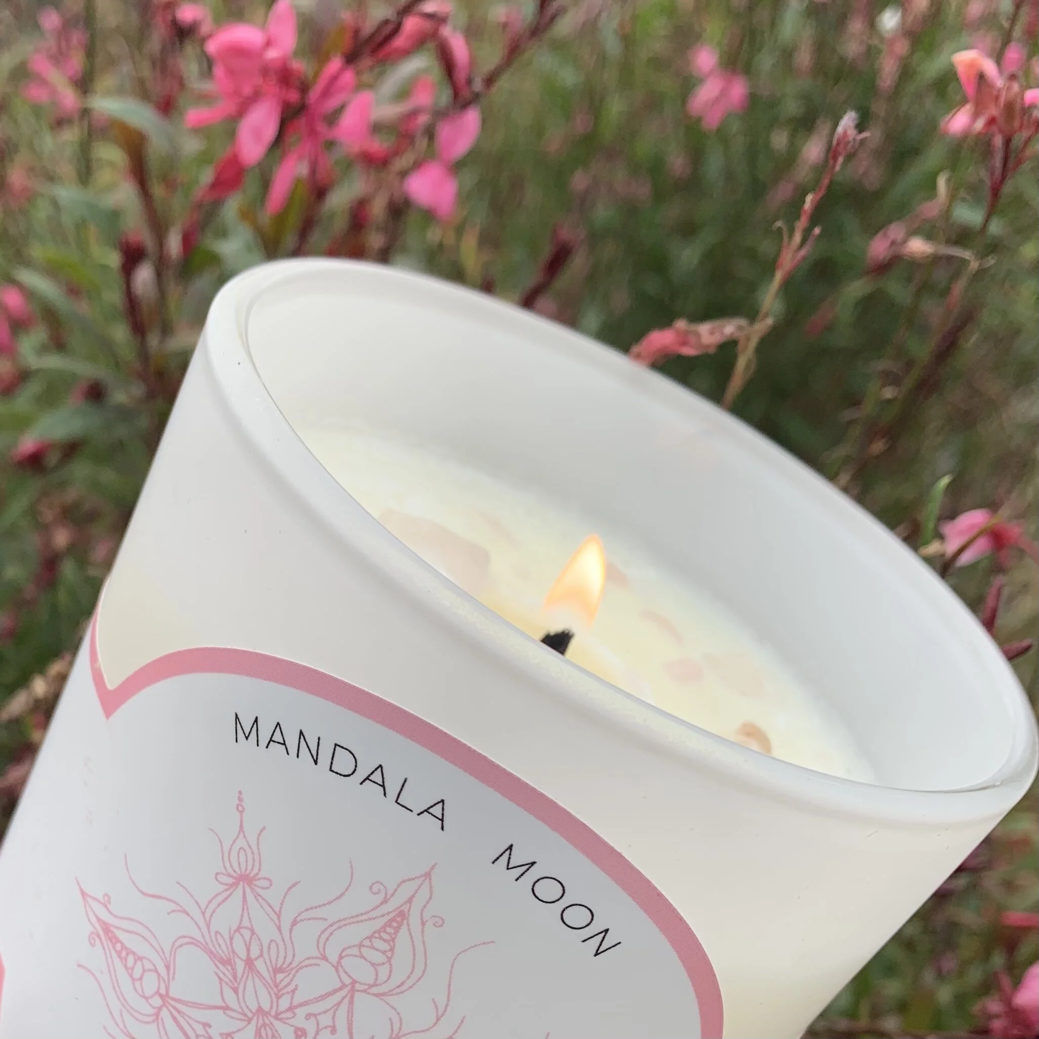 BF58C44A-0DD7-4DAB-A91A-9EF30D521011