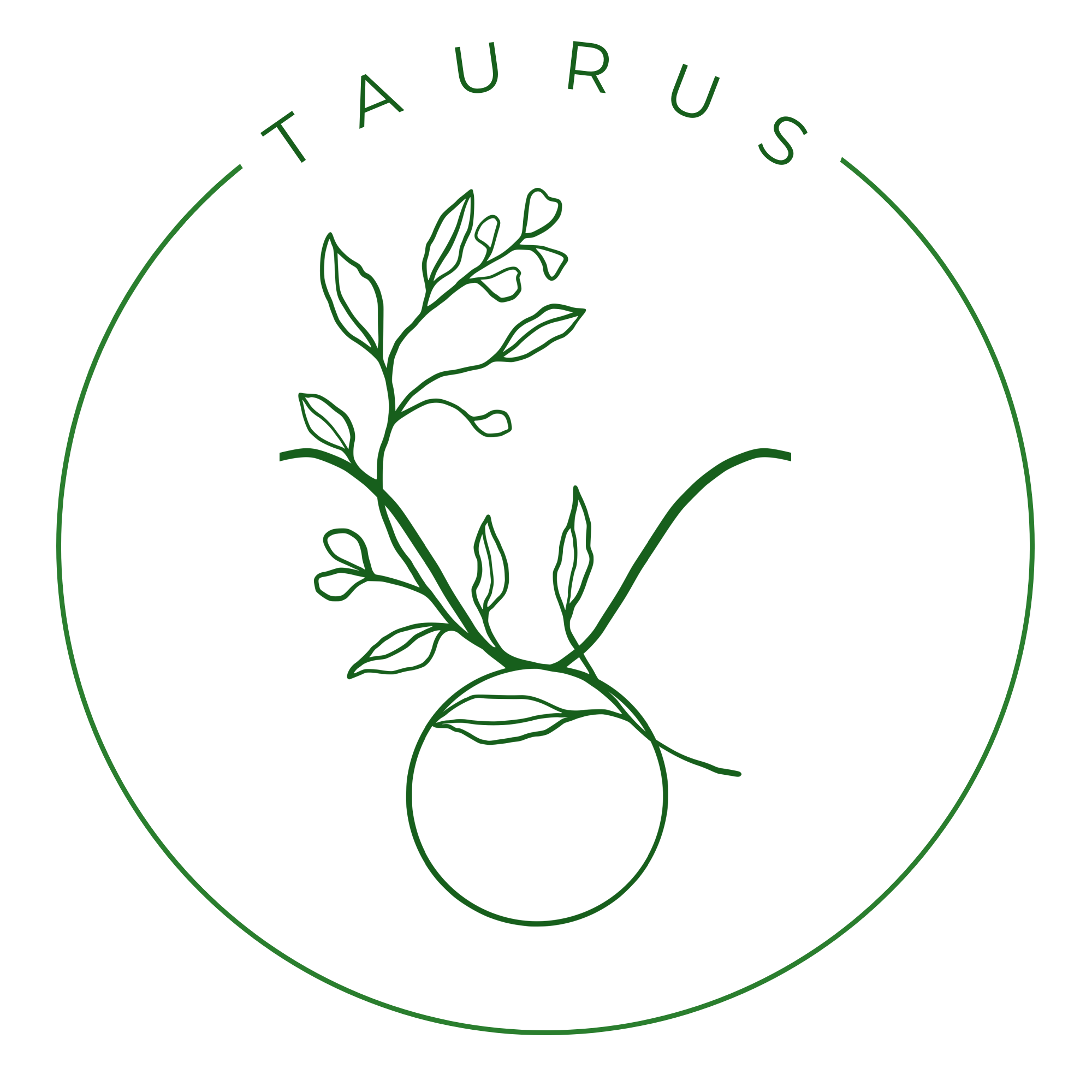 TAURUS.png