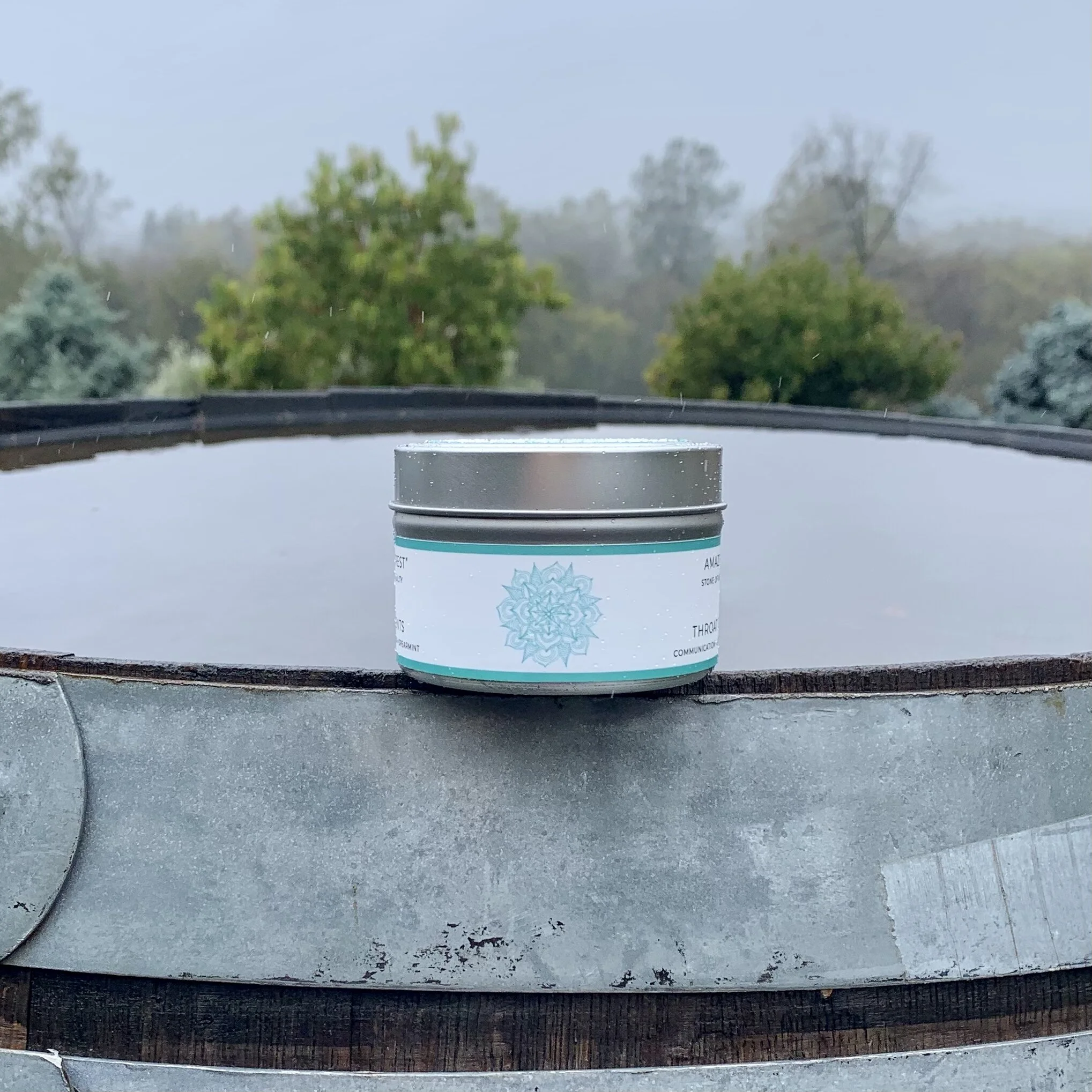 8B78D5B9-B8AA-4694-B54B-125DE3A8FF44