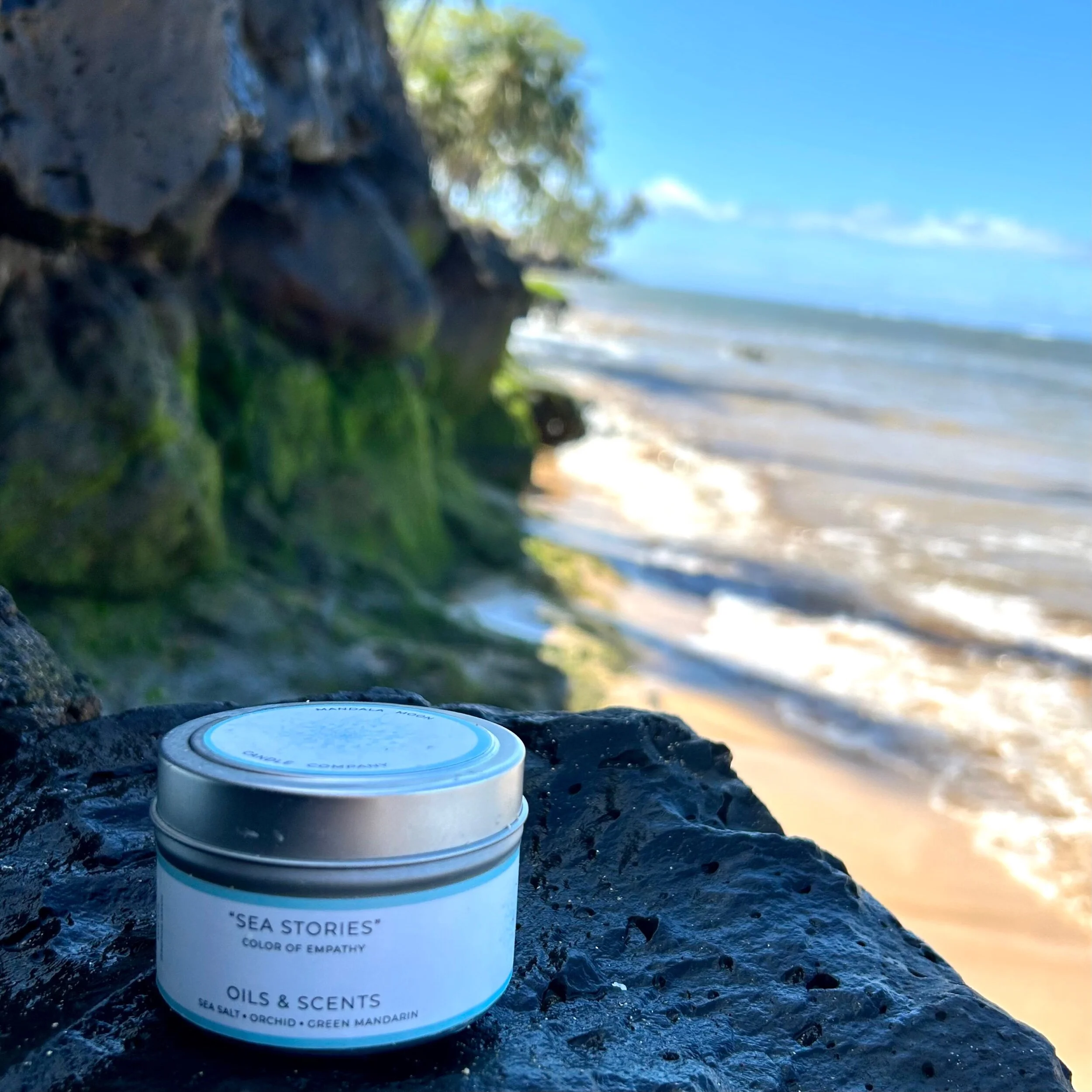 53B7D30A-E008-4964-B40D-A8AA03374857