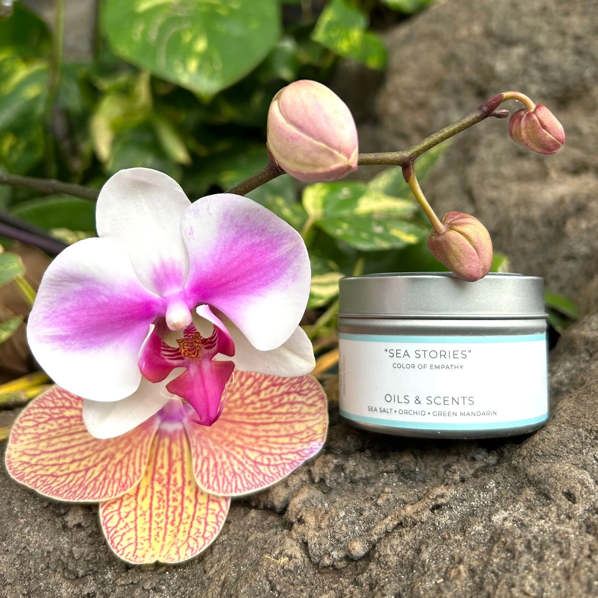 FF0469E2-106B-4FB8-B3A2-5C2C331291F9