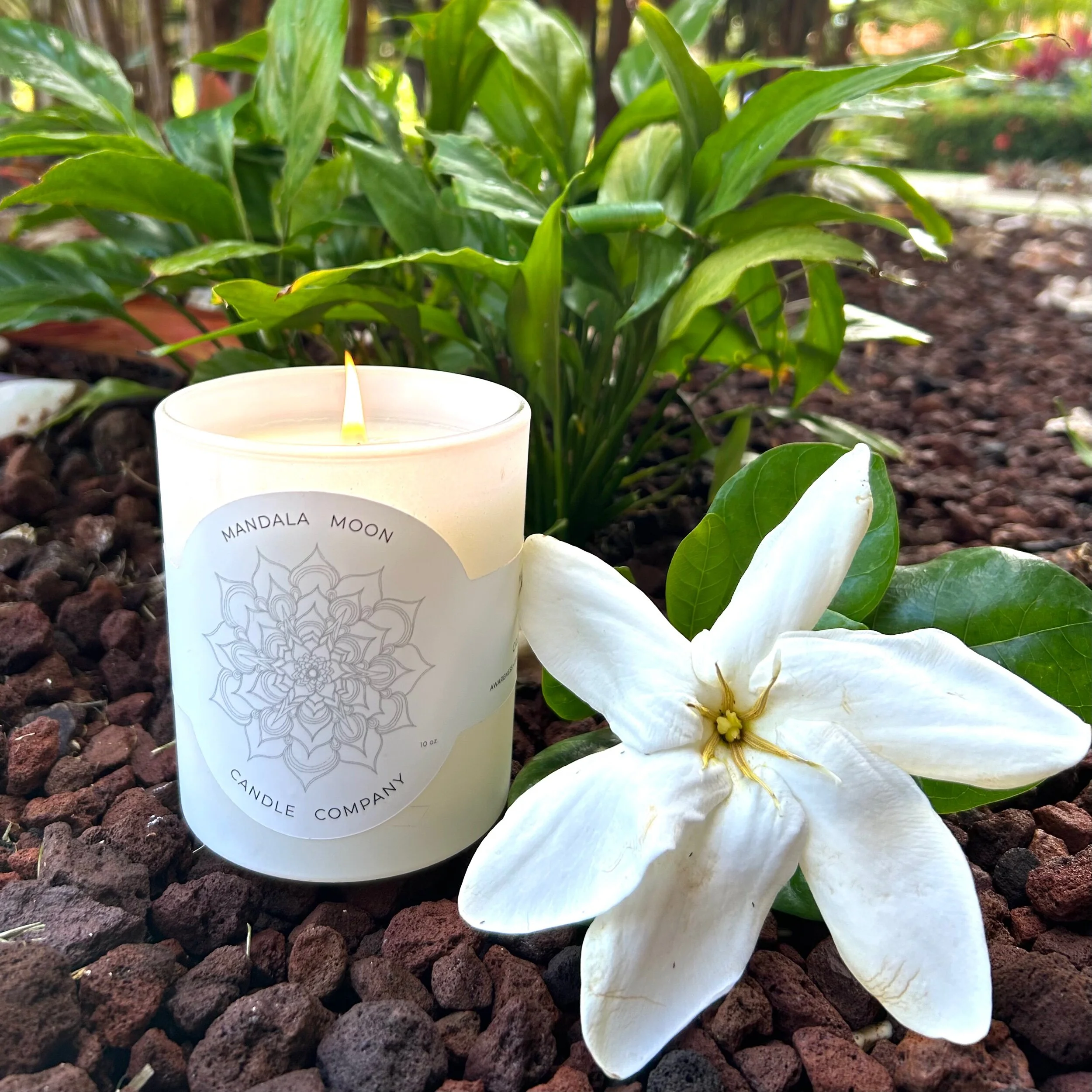 512B60D8-9E20-4391-836B-F428627EE2CE