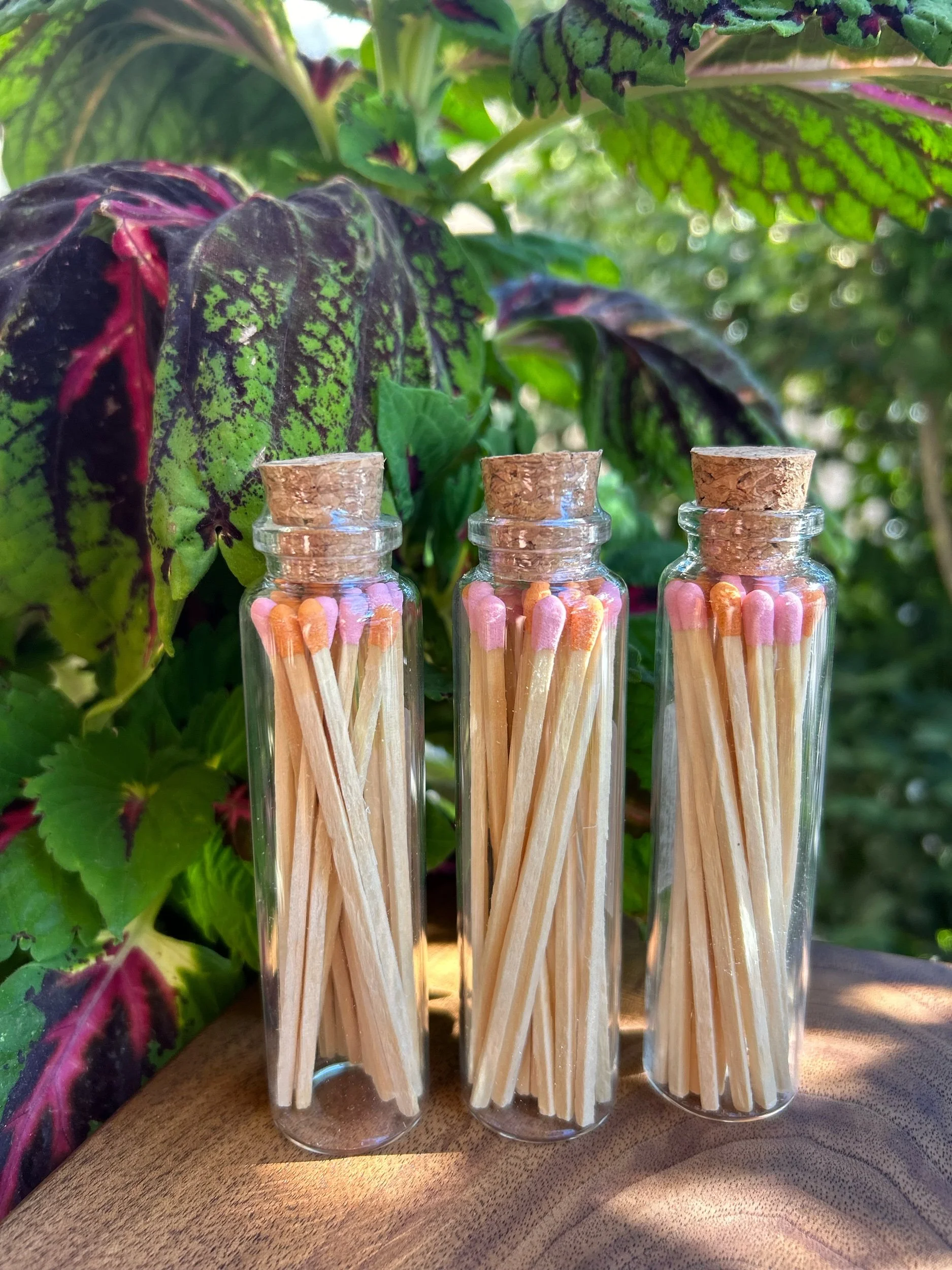 7DD709F7-164A-4A54-B66C-D48D5E90DAFF