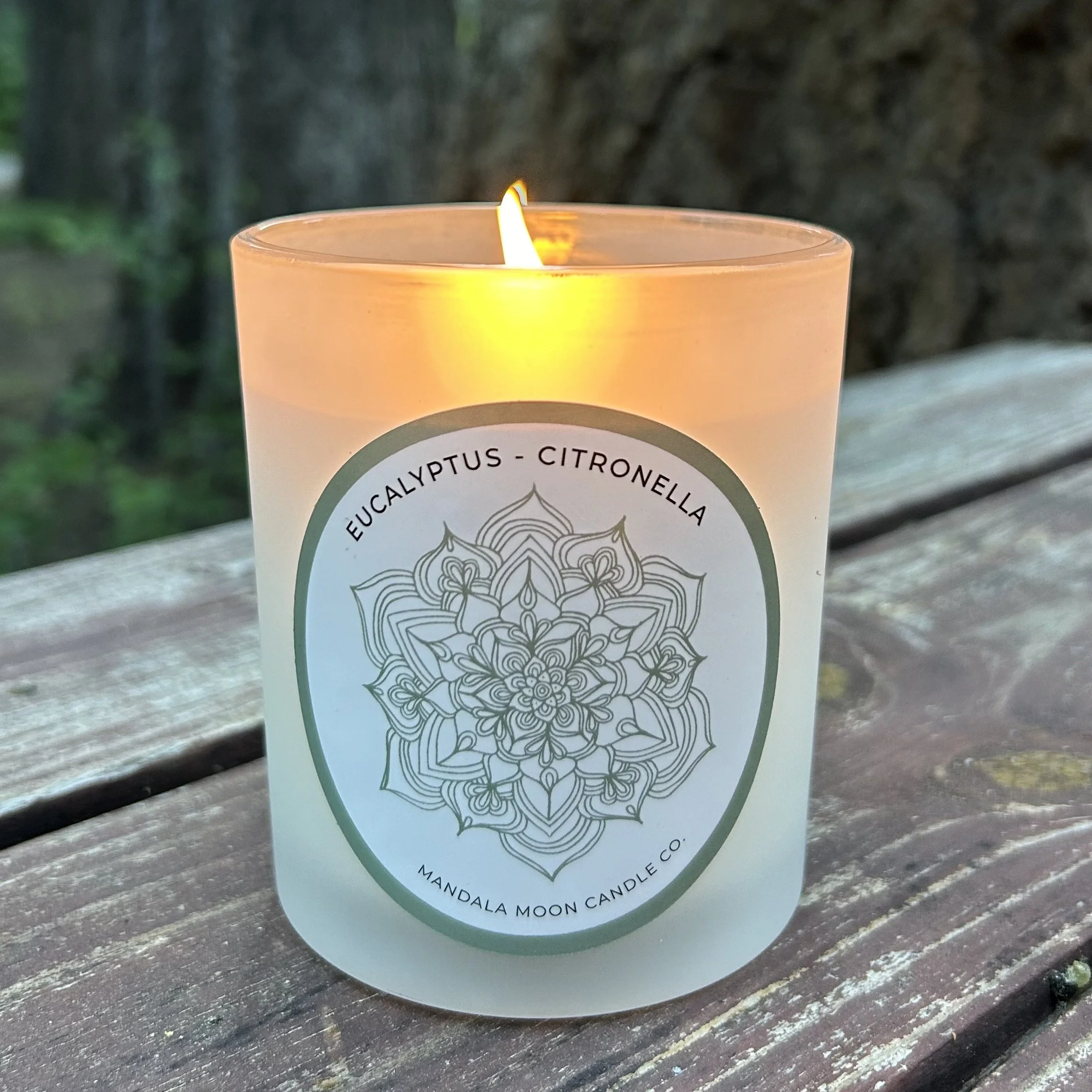 95A7EE62-30B1-40B3-9636-CD04D6FE8075