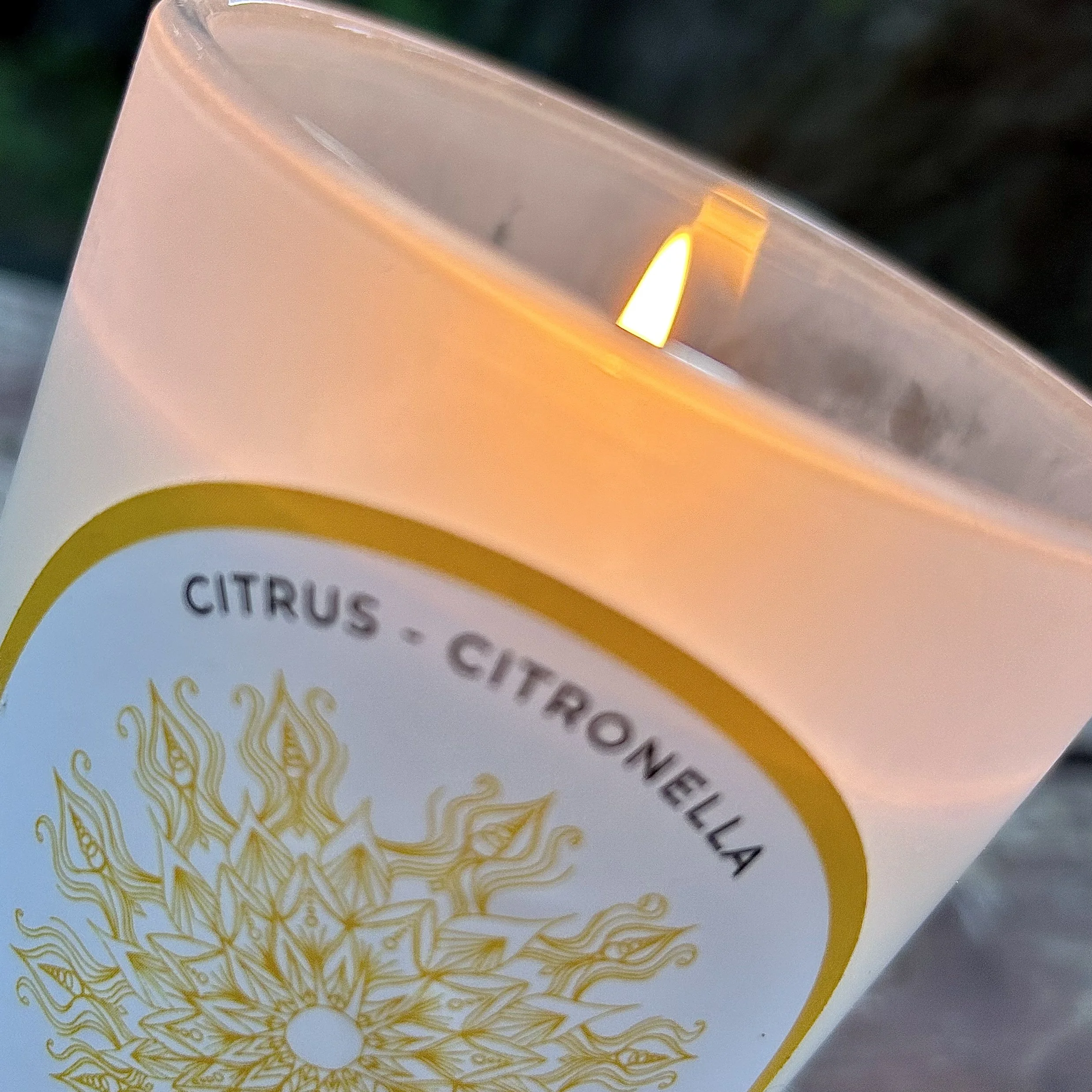 F11B35D8-4CC7-4EDC-B4CA-B89585F41CAC