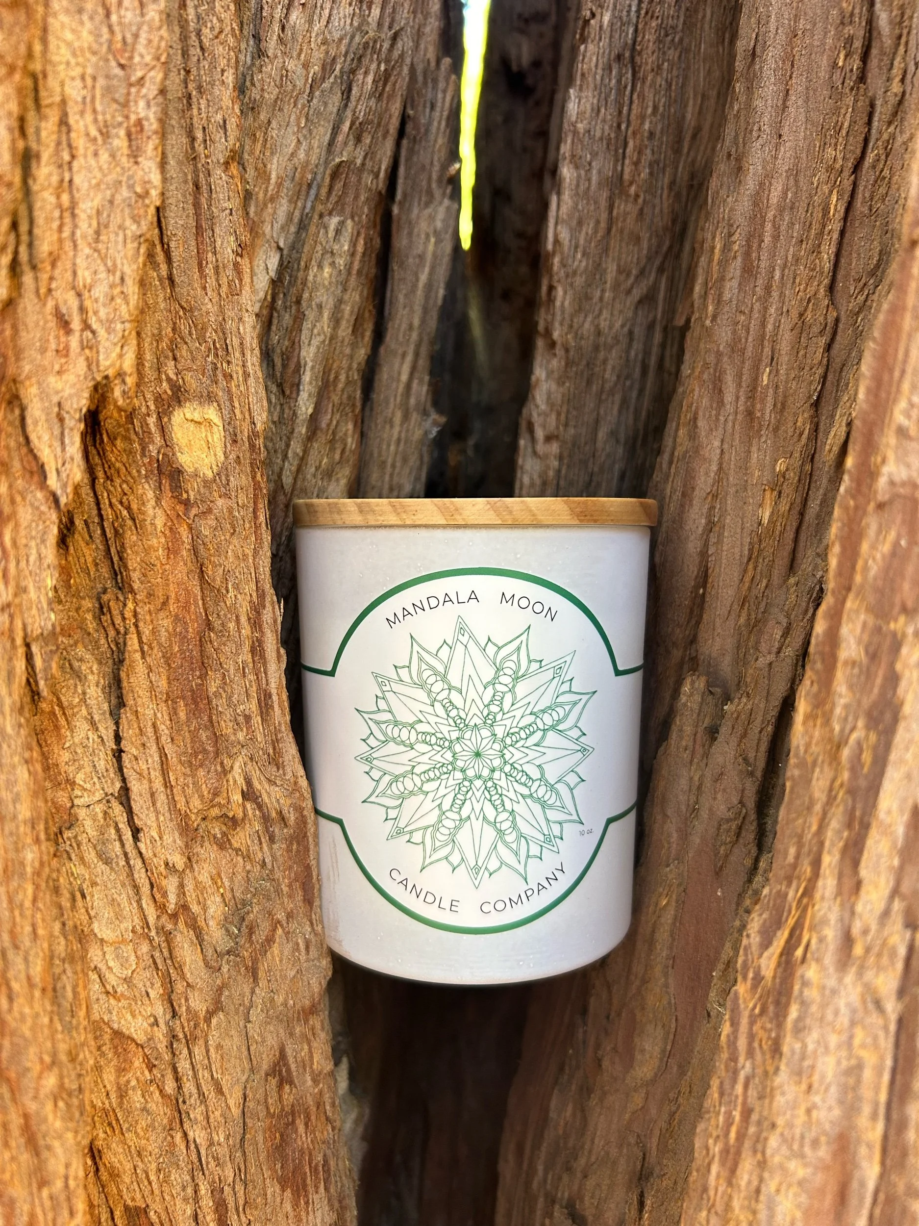 C21E0E48-6050-40D6-8893-0690BE5BABBC