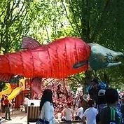 IMG_0250_JPG.webp
