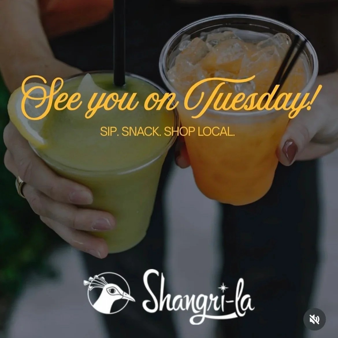 IMG_0247.jpg