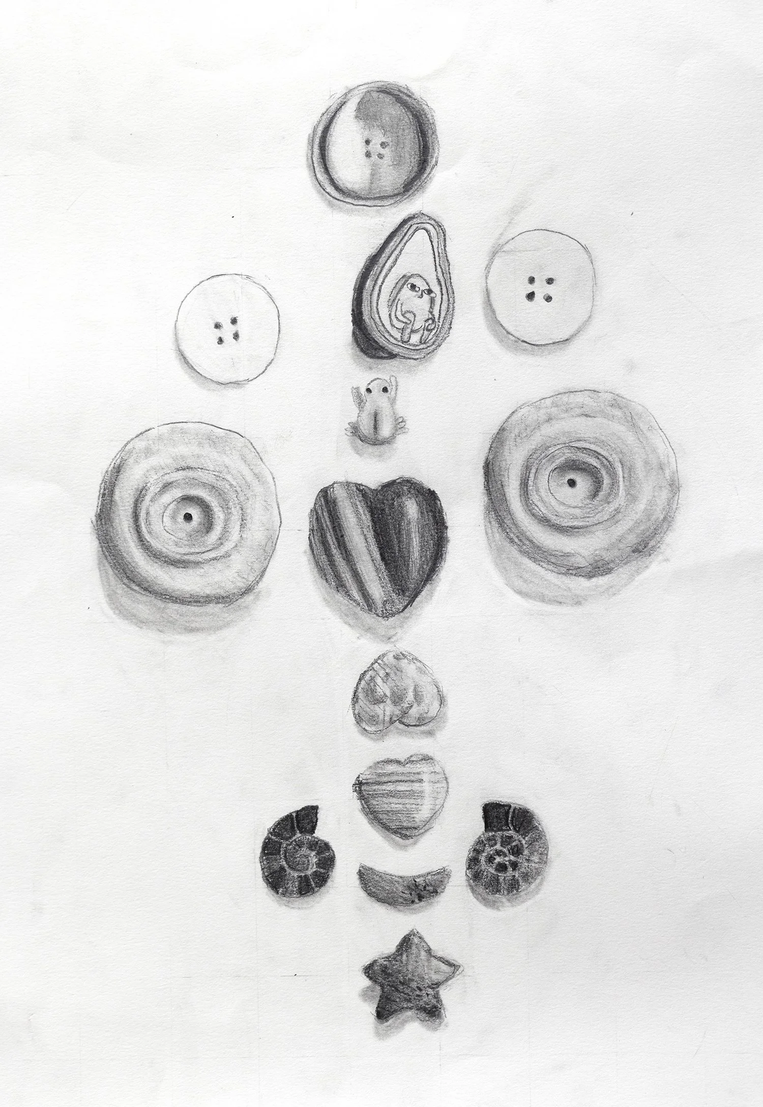 value7.jpg