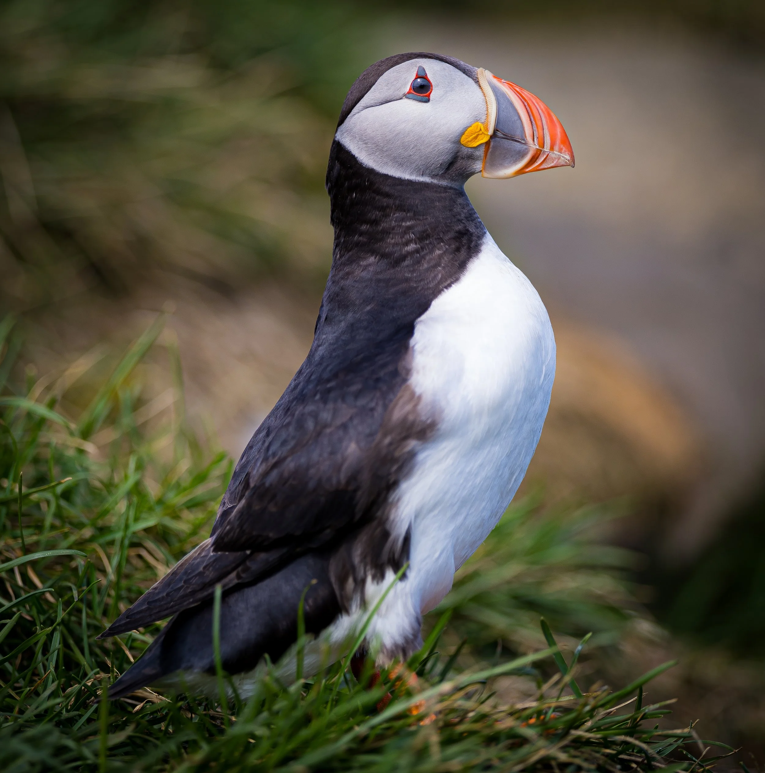 youngsphotography2025-8.jpg