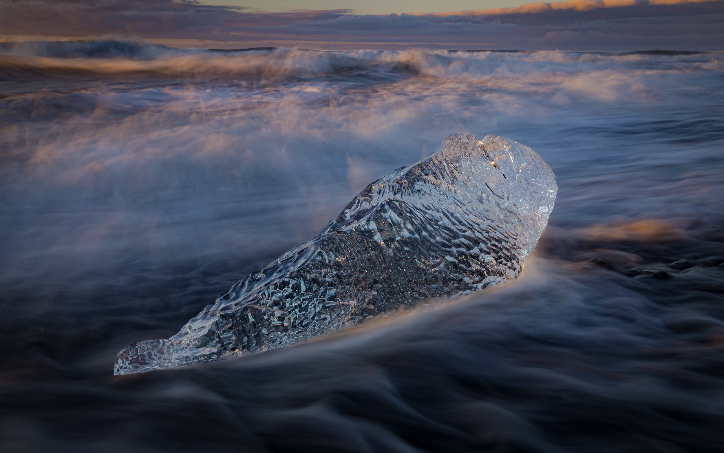 youngsphotography2025-16.jpg