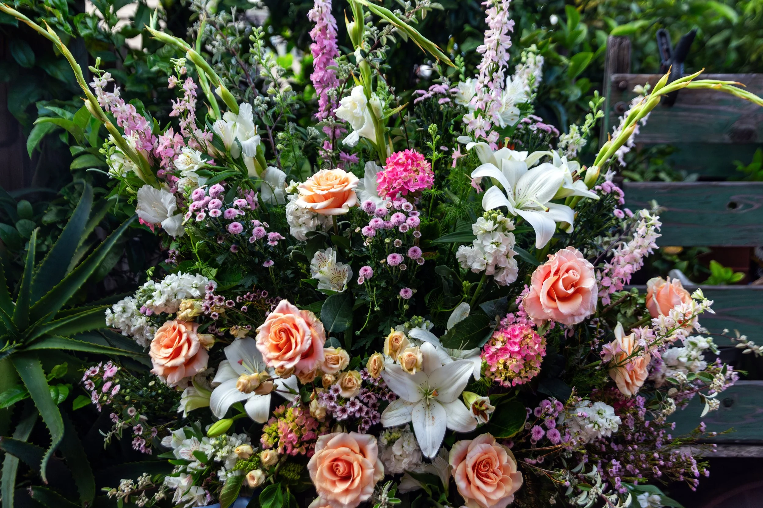 20240511 Lucy Party 004.jpg