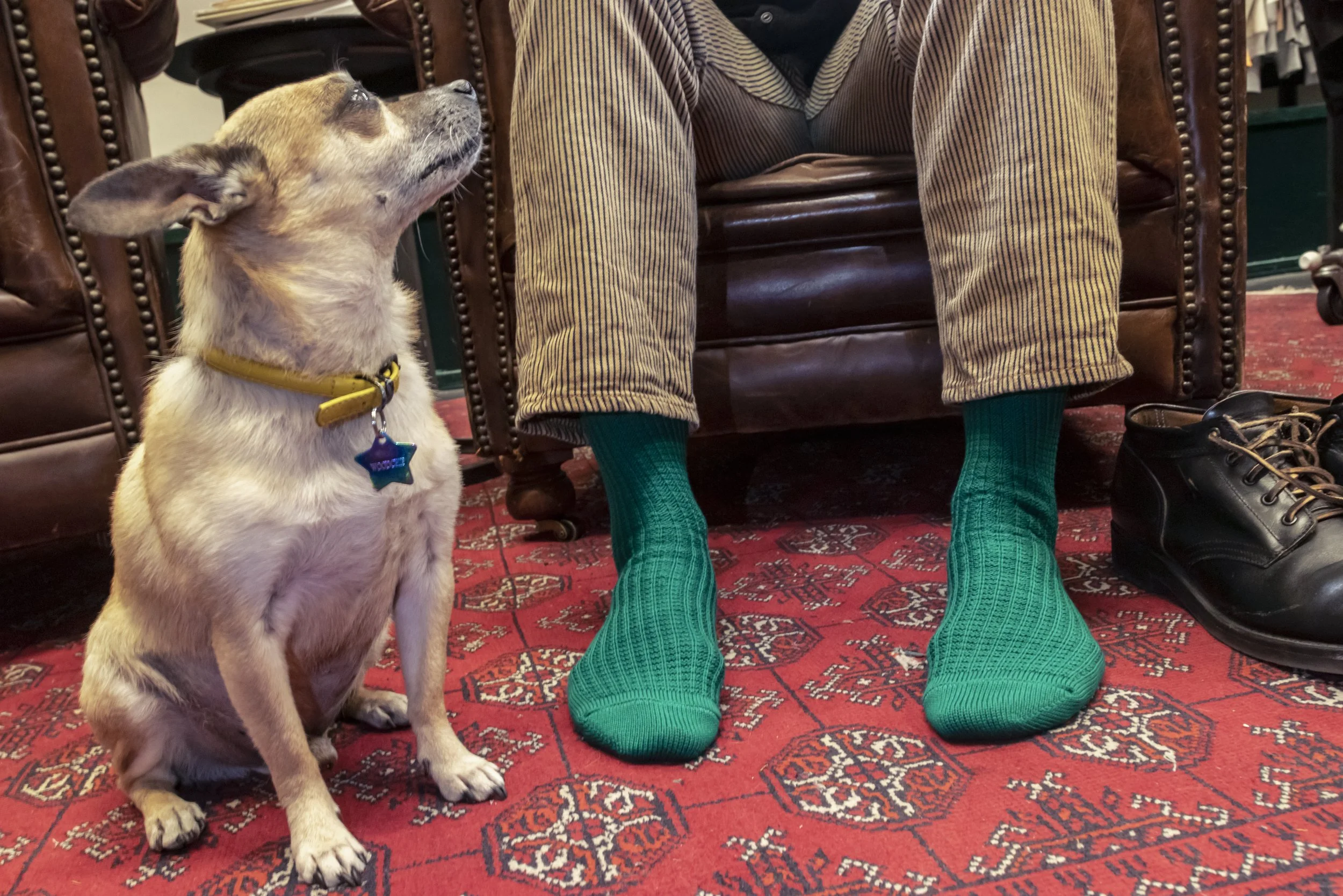 Woody and Eden Marcel.jpg