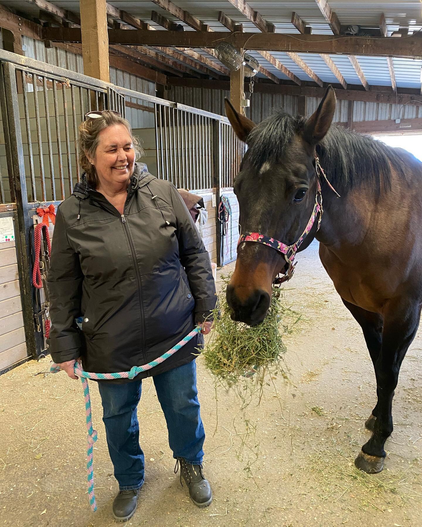 Maybelline is taking a snack on the road with her 😂😂
.
.
#foodislife #hungry #horses #horse #horsesofinstagram #equestrian #equine #funny #funnyanimals