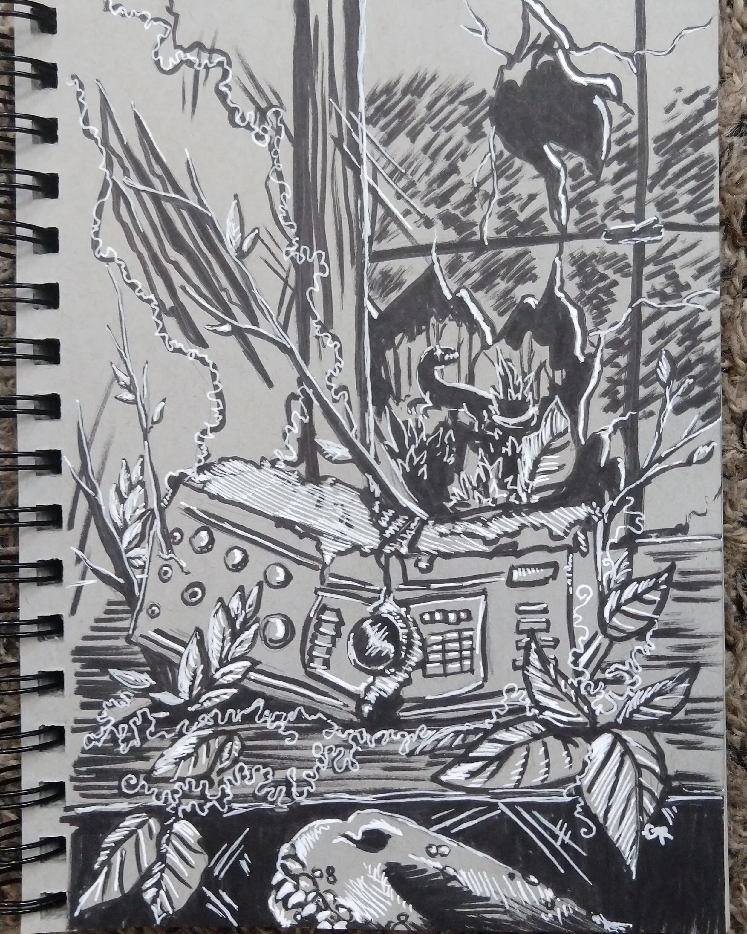 4. Radio