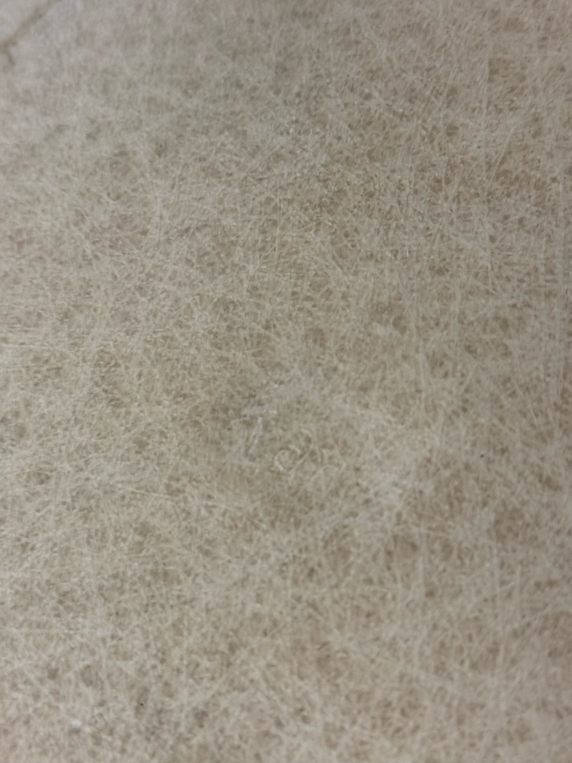 33C11C52-8097-4DF3-8A15-4483B2AFF218.jpeg