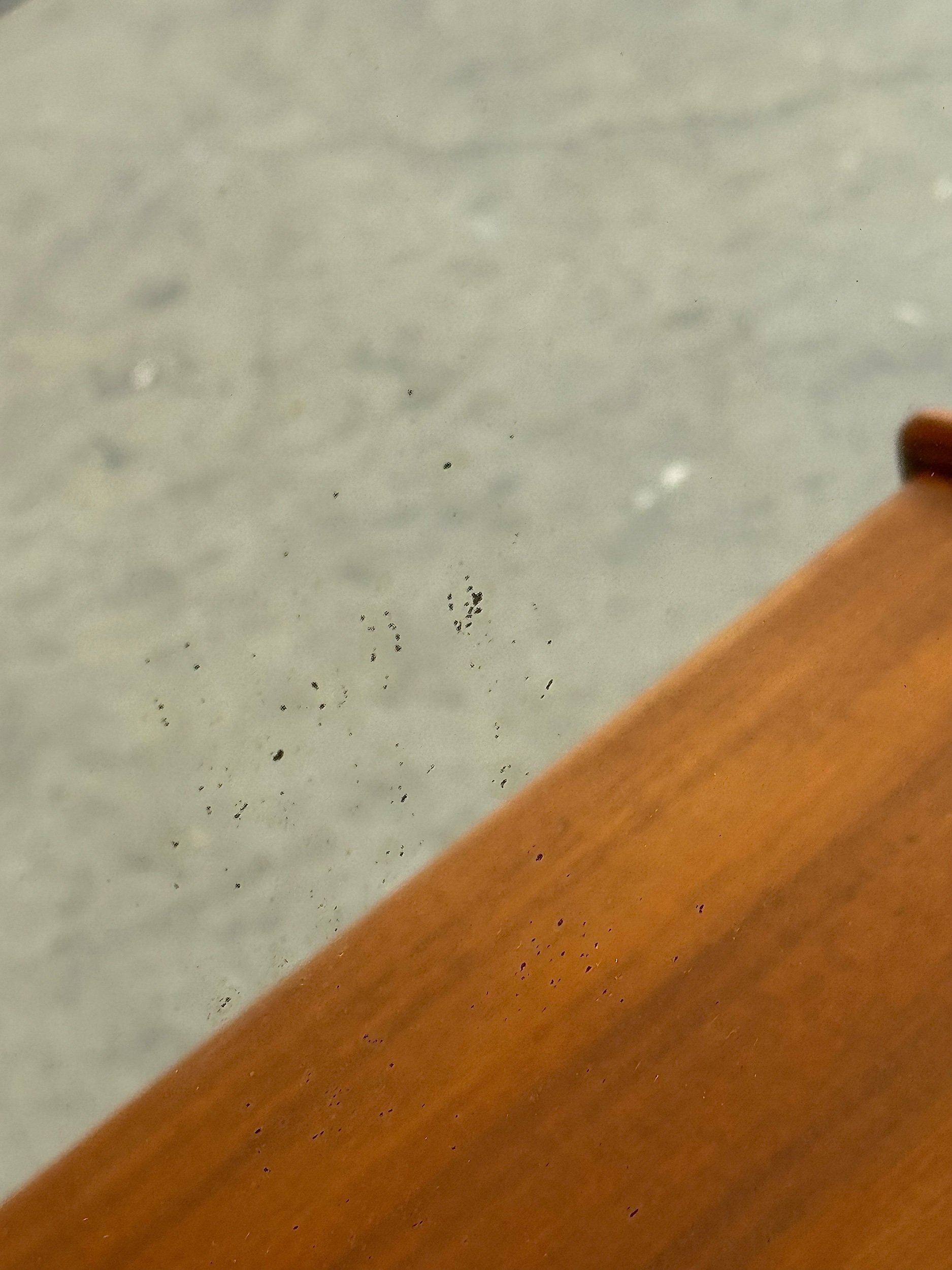 F6ADF551-A038-4316-AE73-9B8DDC428F25.jpeg
