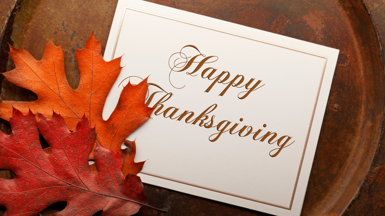The Perfect Playlist for a Peaceful Thanksgiving