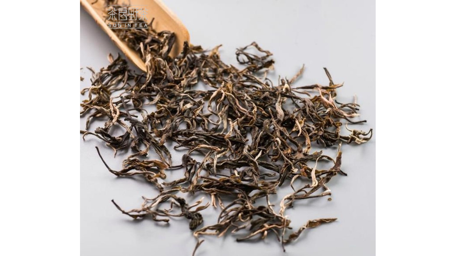 SUN IN TEA — A.A. TASTE AWARDS