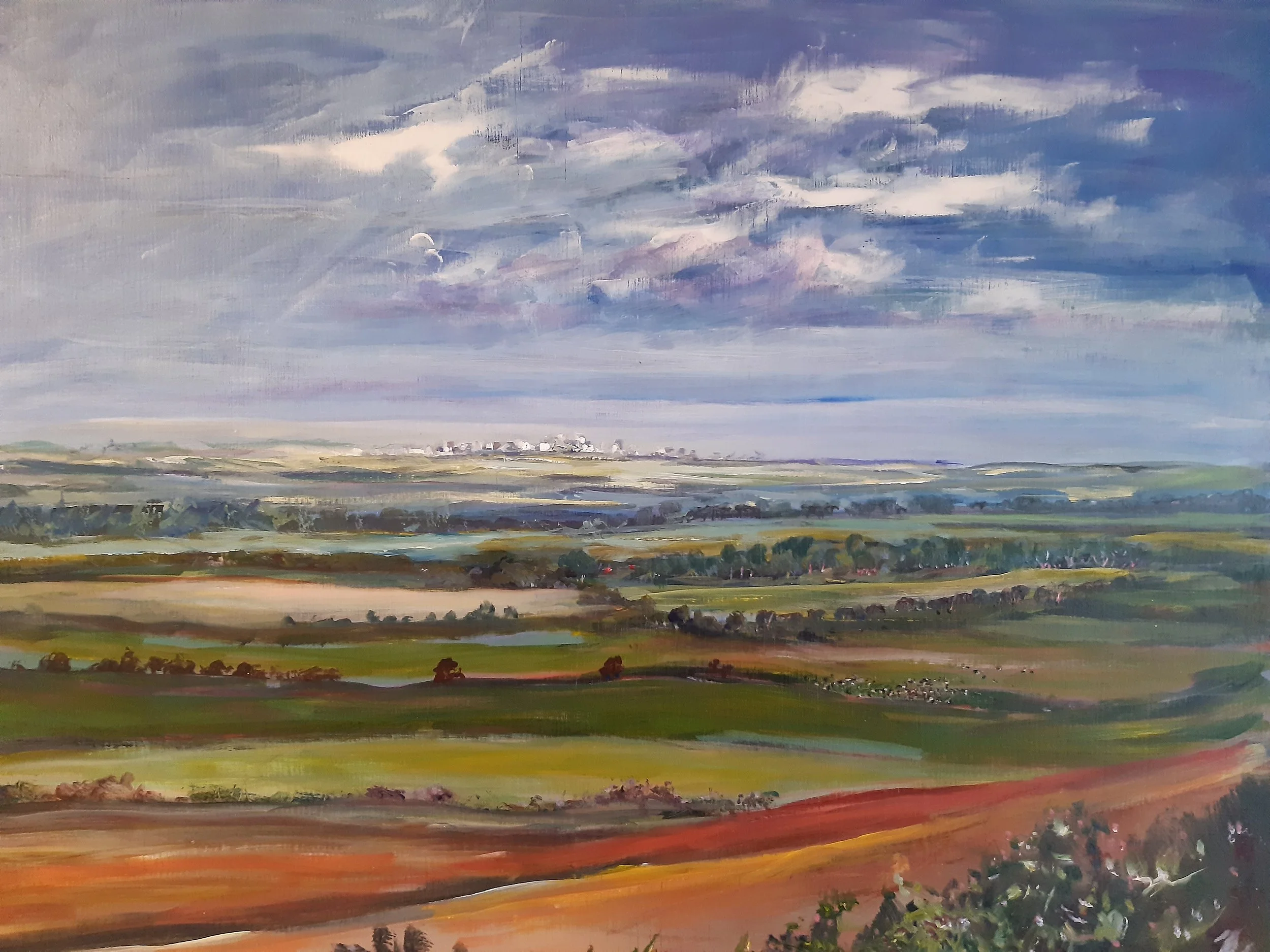 Royston Valley (looking towards Cambridge)
N/A