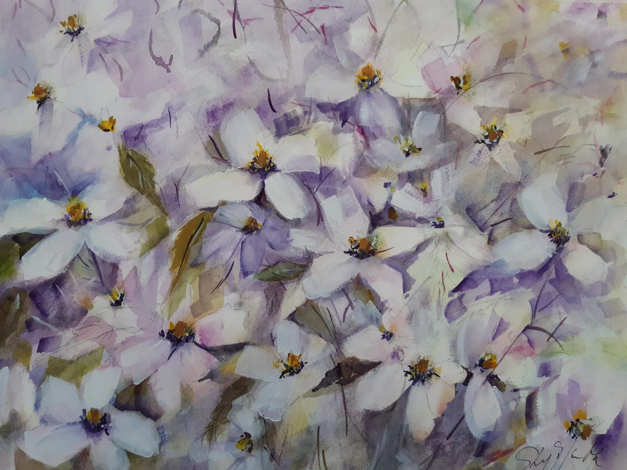Clematis Montana - Unframed + Mount - 64  x 52 cm - £180