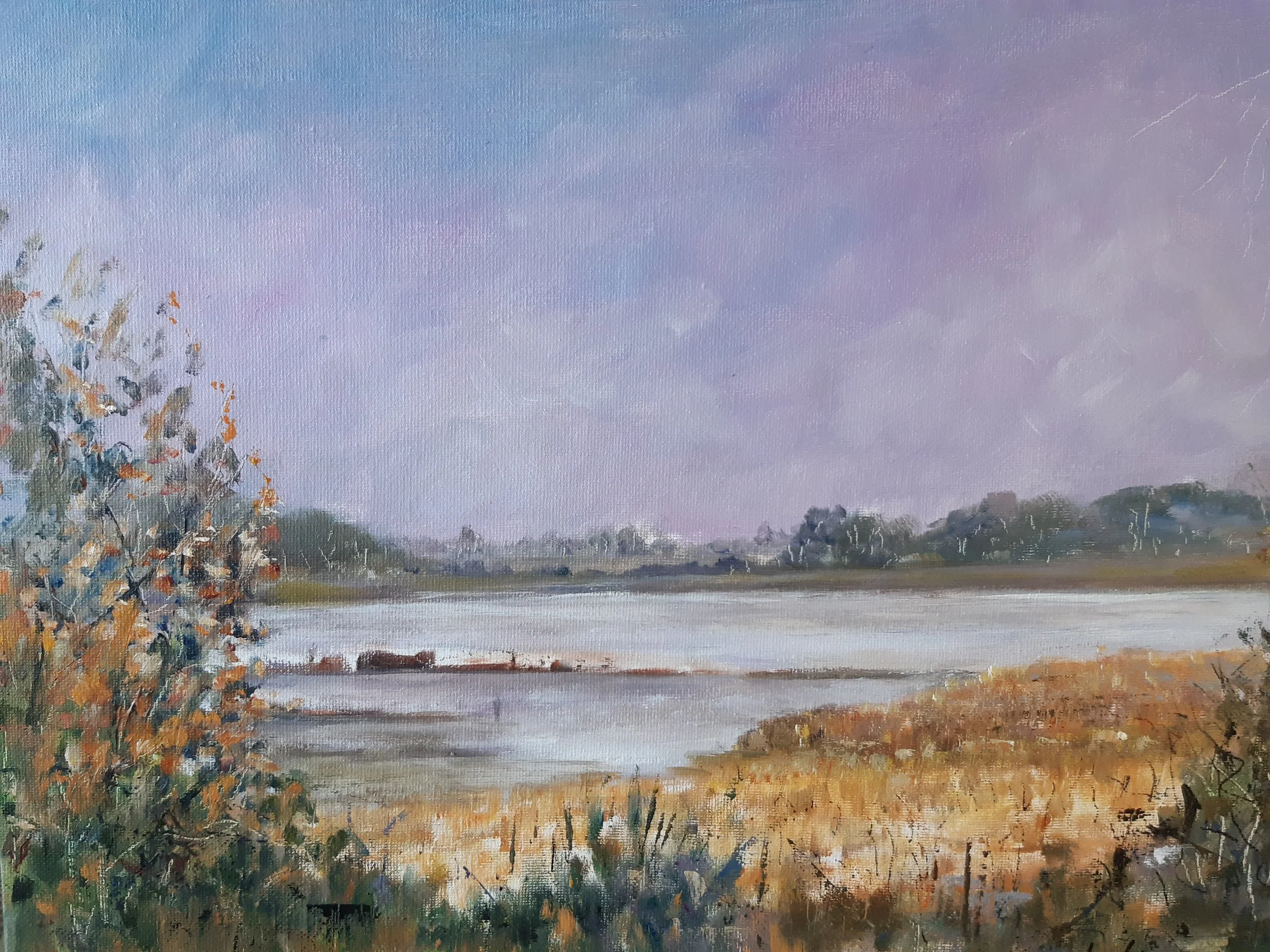 Snape Marshes - Framed - 46 x 36 cms - £245