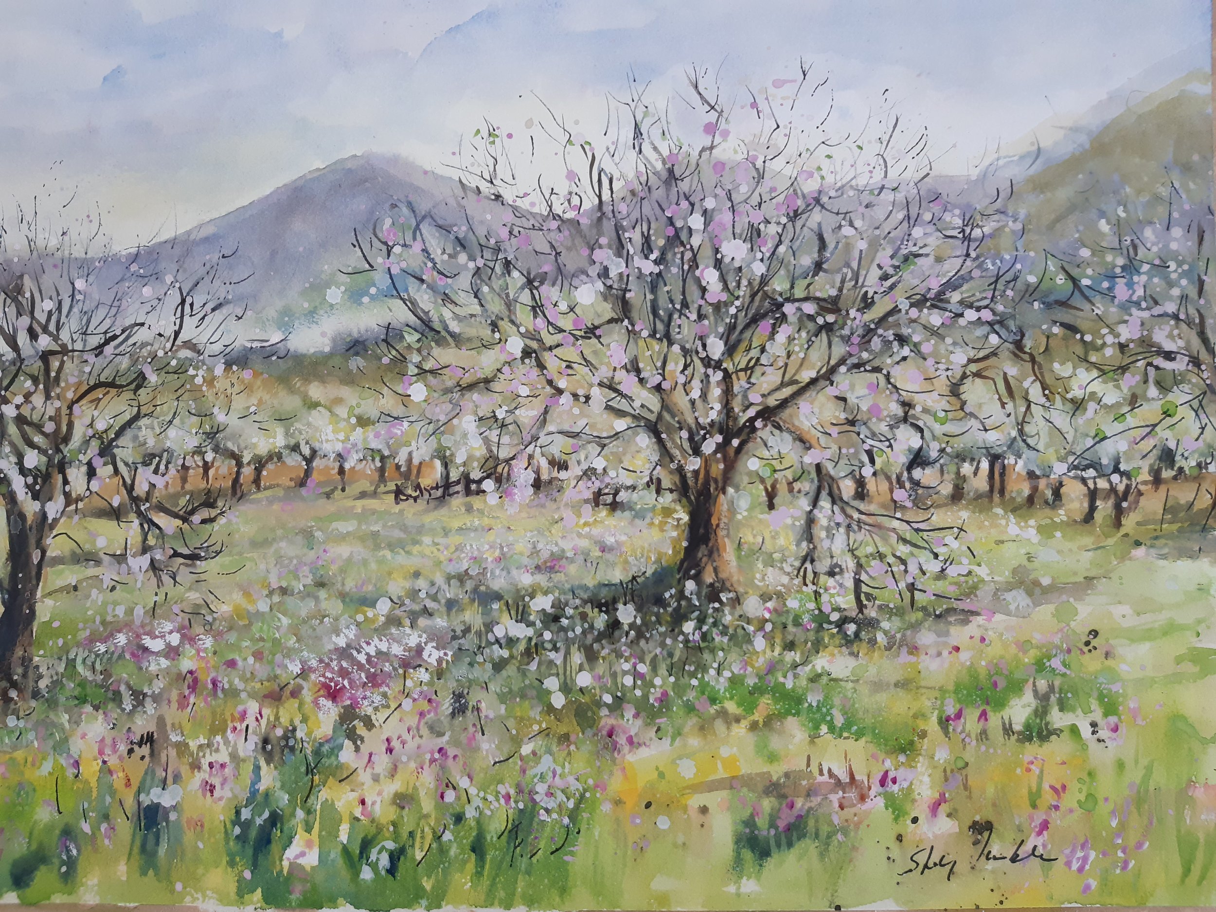 Majorca Spring Blossom - Framed - 59 x 53 cm - £240

