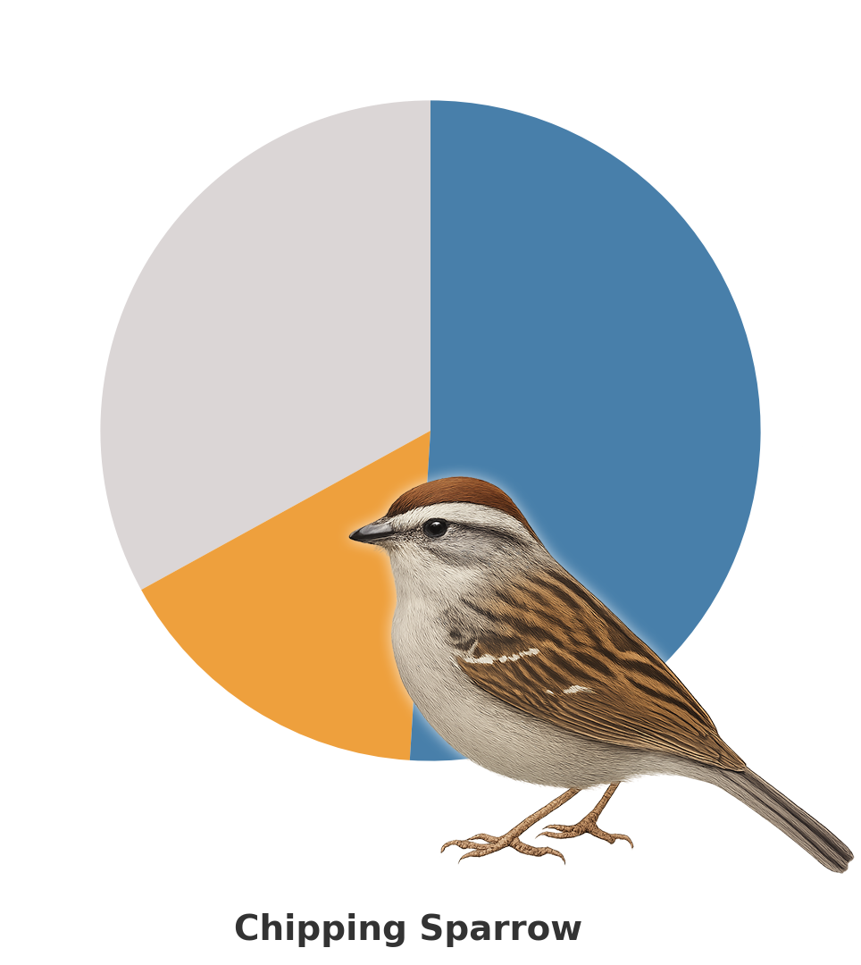 Chipping_Sparrow.png