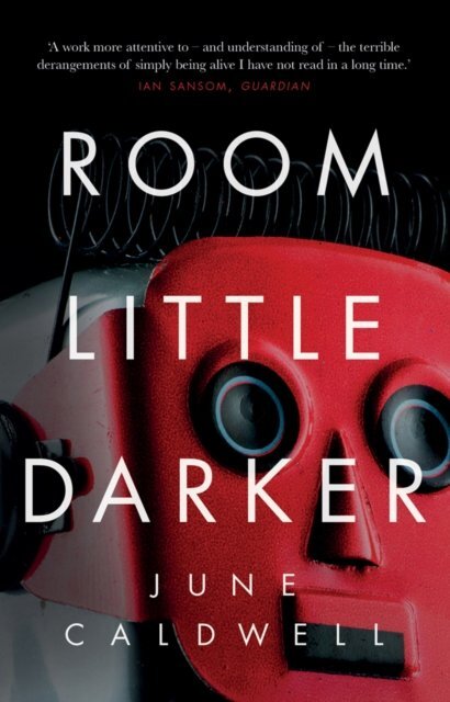  Cover of Room Little Darker by June Caldwell 