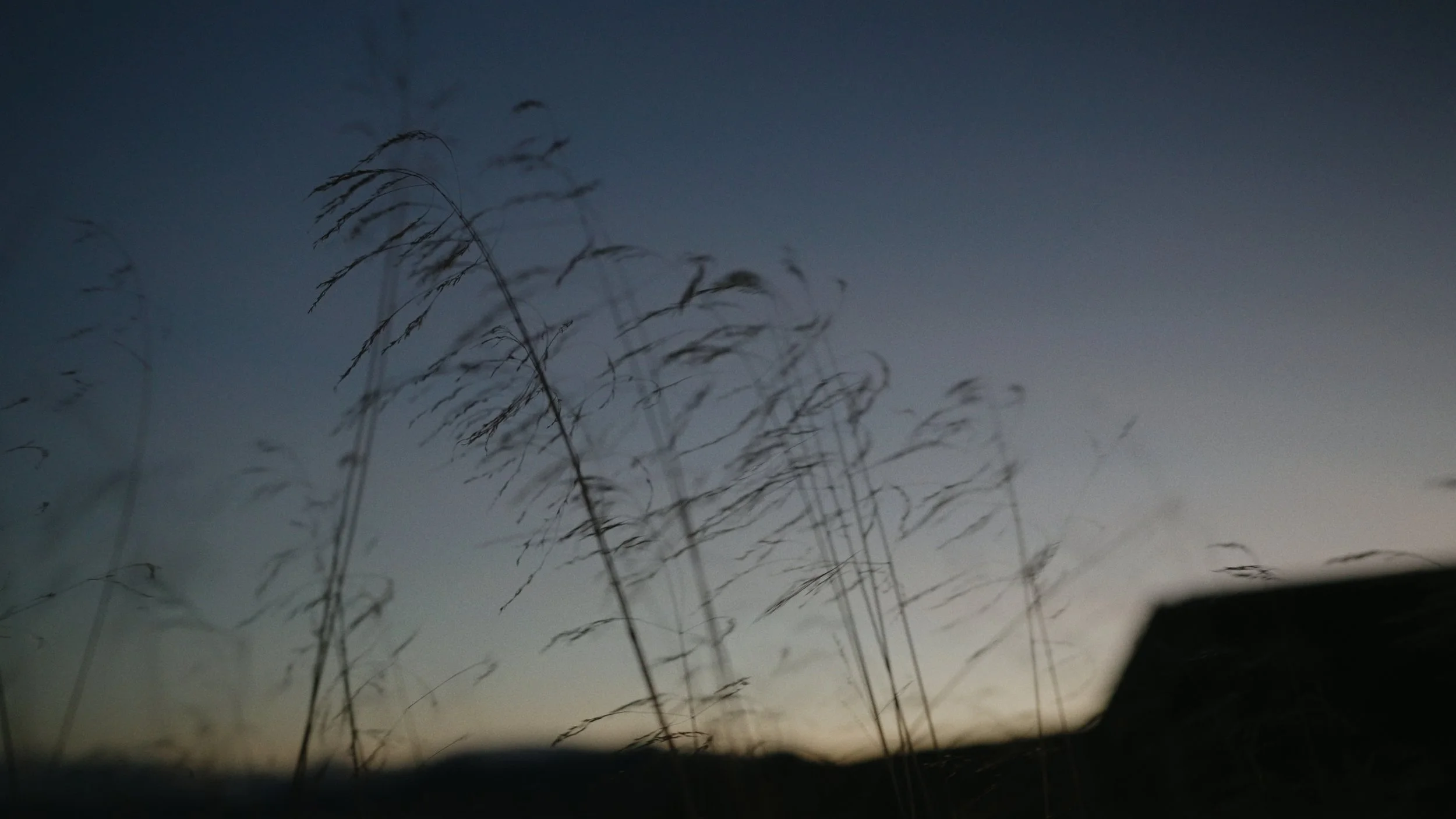 V5 EXPORT STILLS_2.4.1.jpg