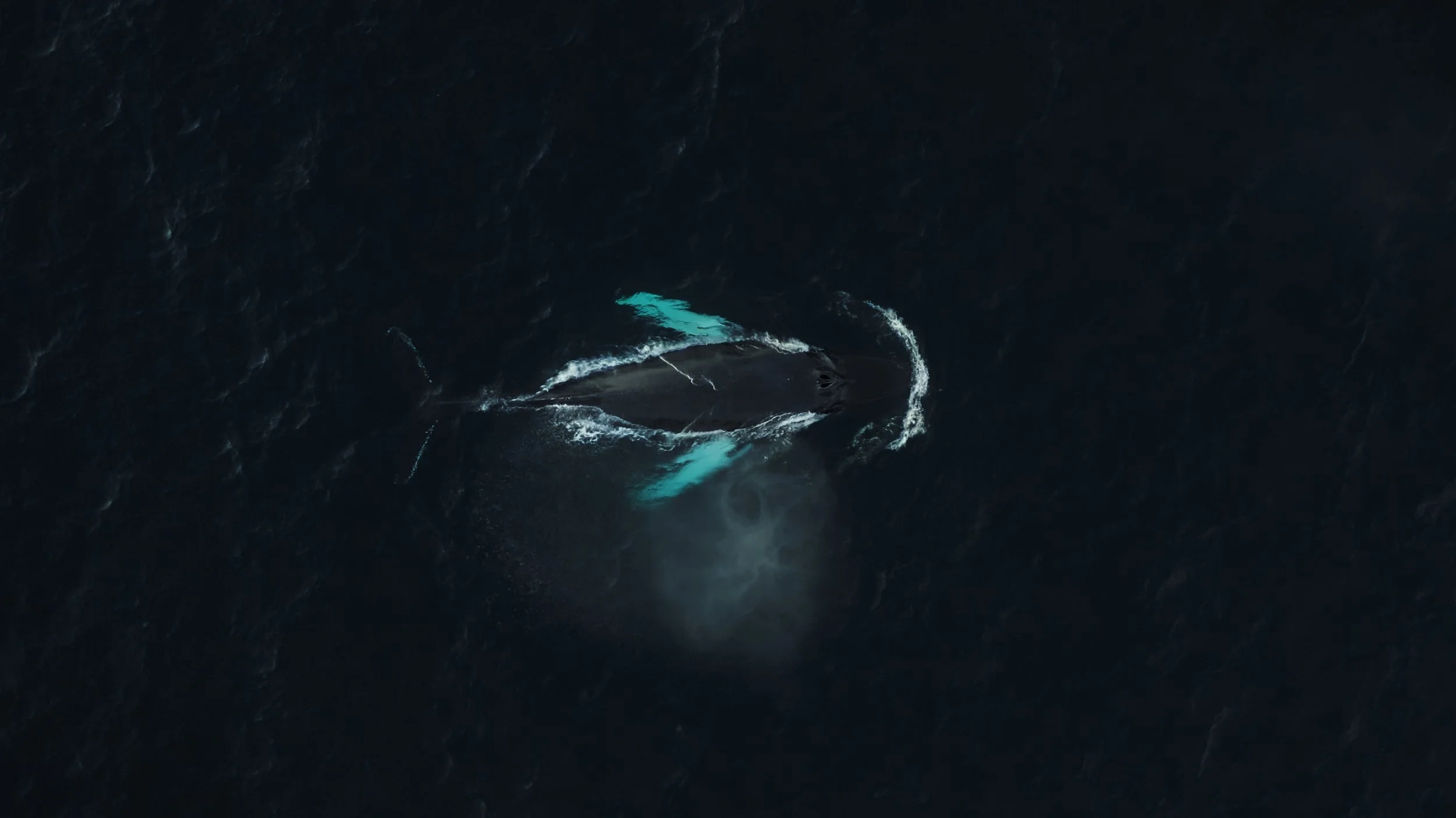V5 EXPORT STILLS_2.56.3.jpg