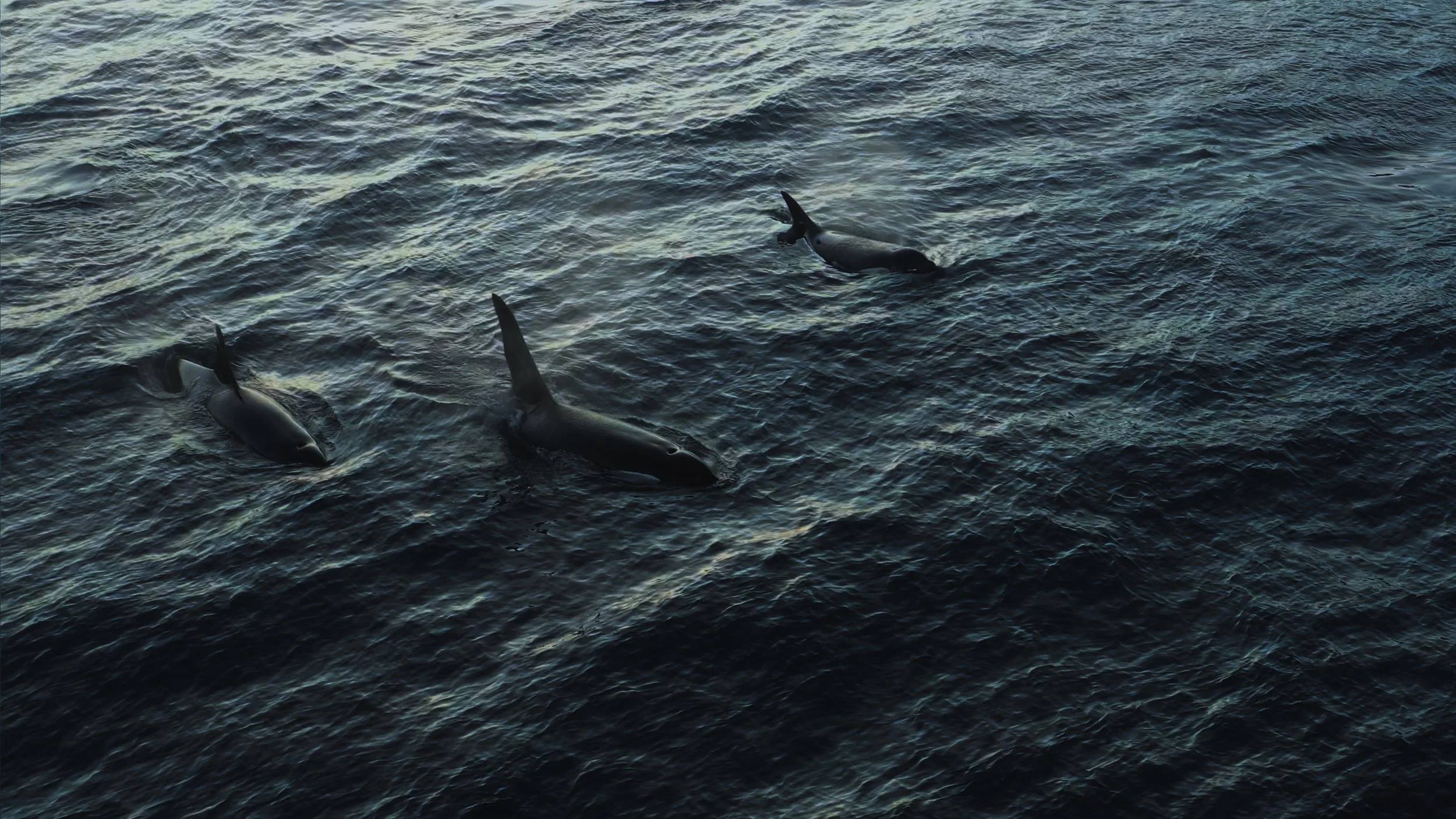 V5 EXPORT STILLS_3.2.1.jpg