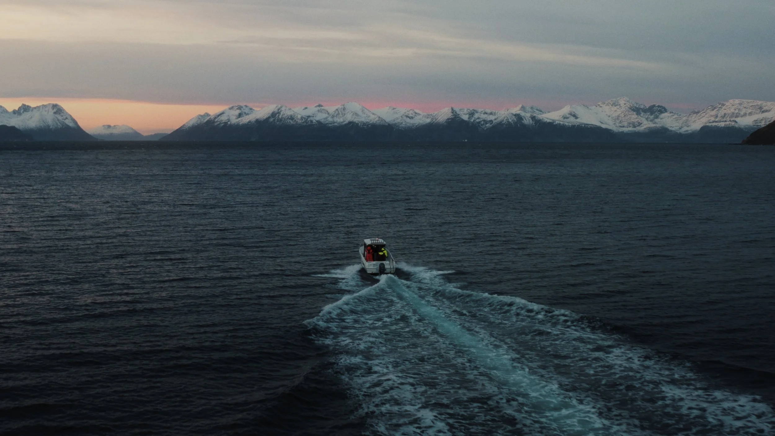 TDWC_STILLS_2.39.1.jpg