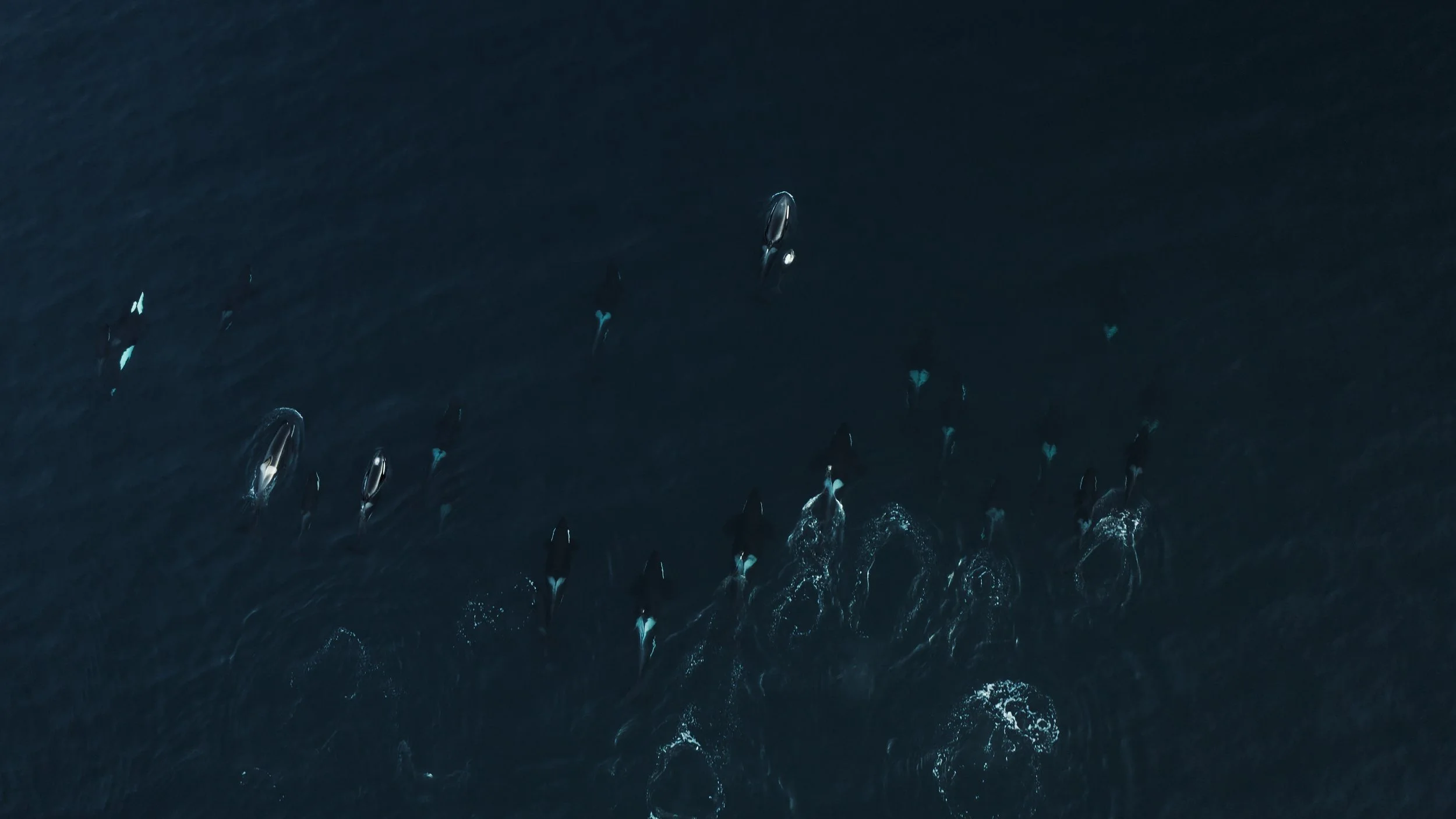 TDWC_STILLS_2.48.1.jpg