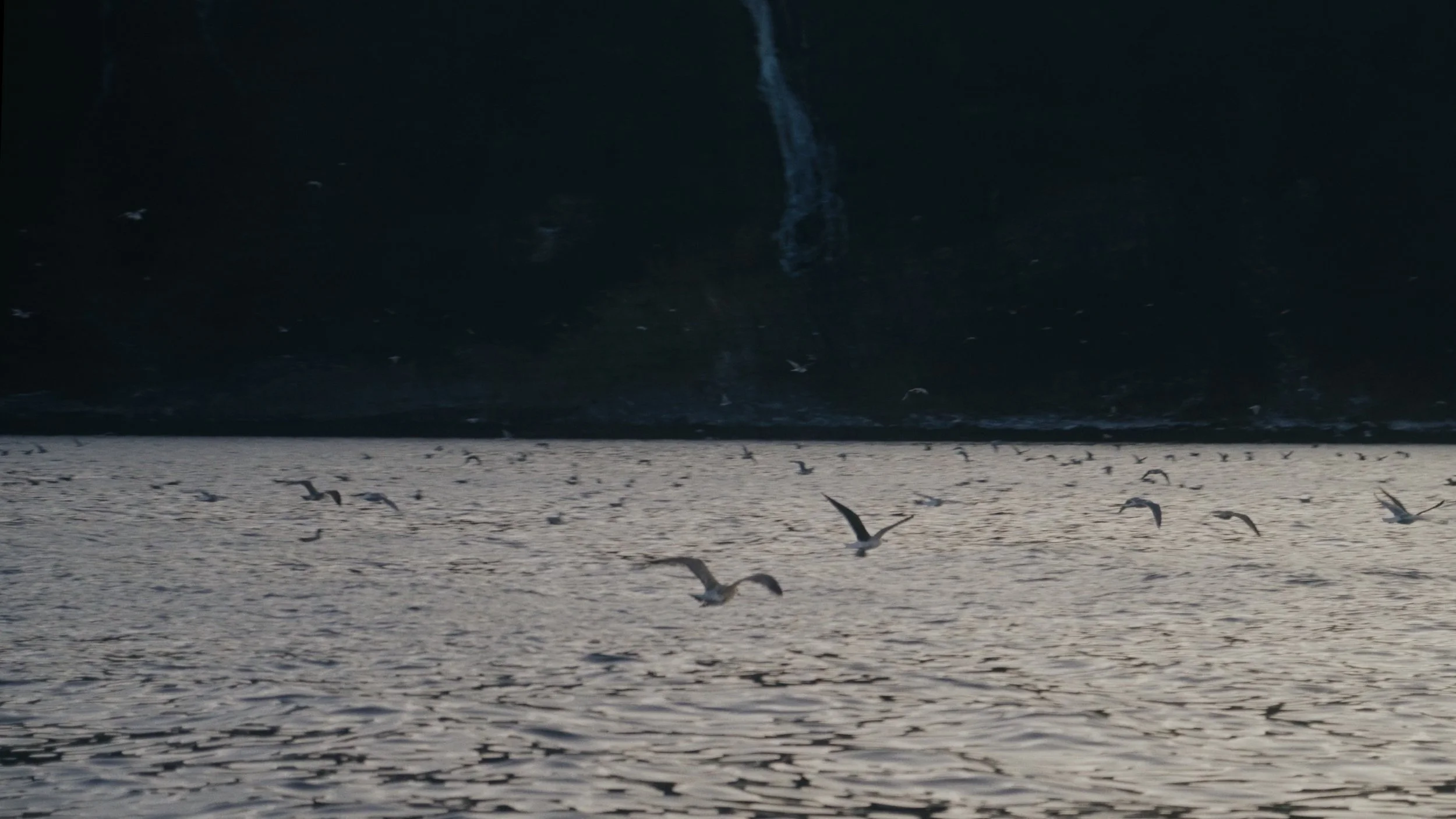 TDWC_STILLS_2.33.1.jpg